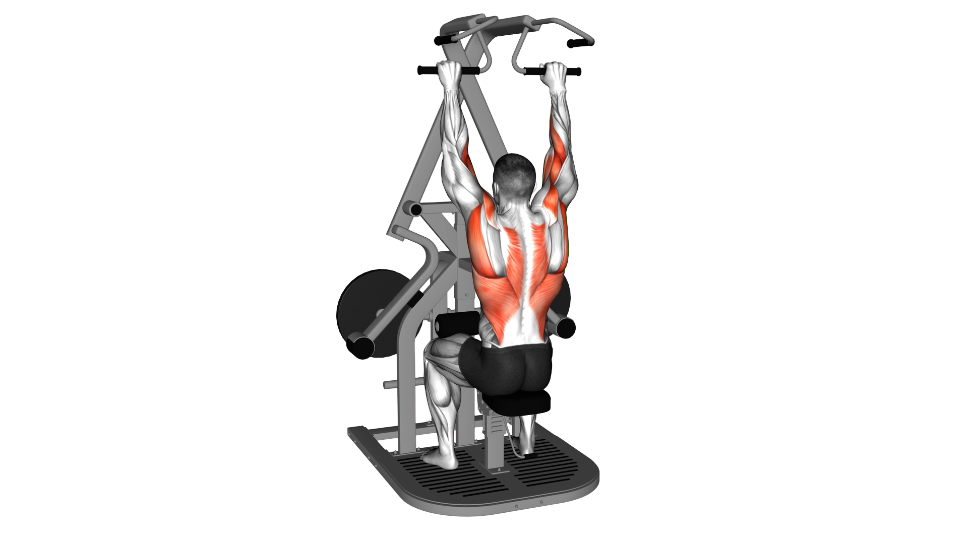 Lever Seated Wide Lat Pulldown exercise thumbnail