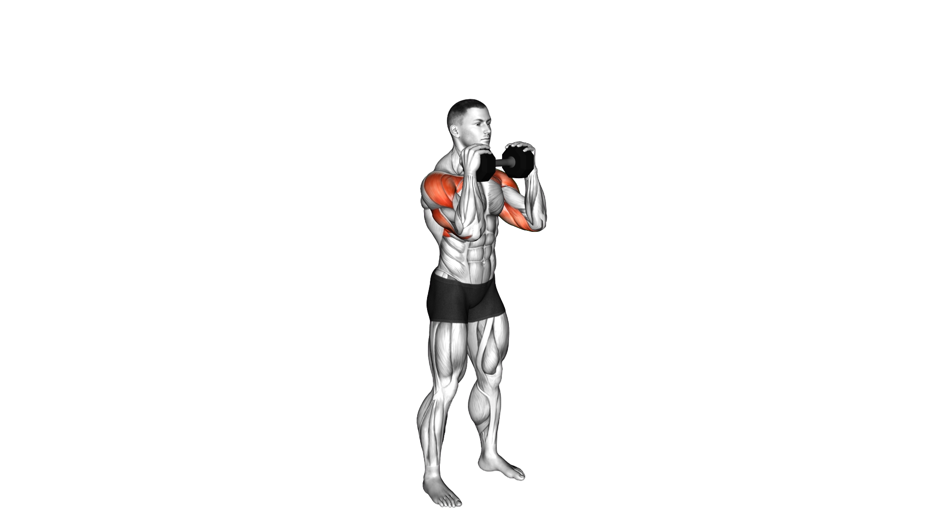 Dumbbell Standing Close Grip Shoulder Press exercise demonstration