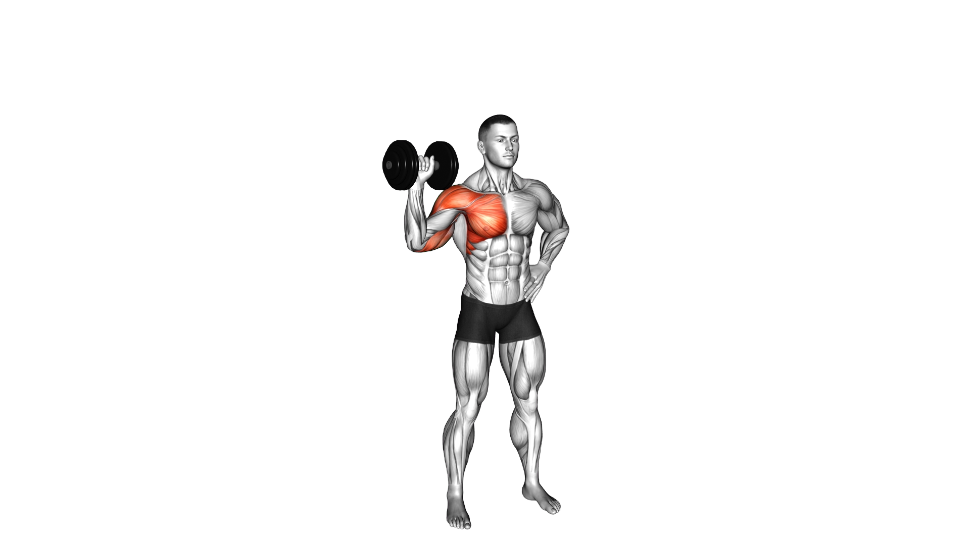 Dumbbell Standing Shoulder Press to Pec Dec exercise demonstration