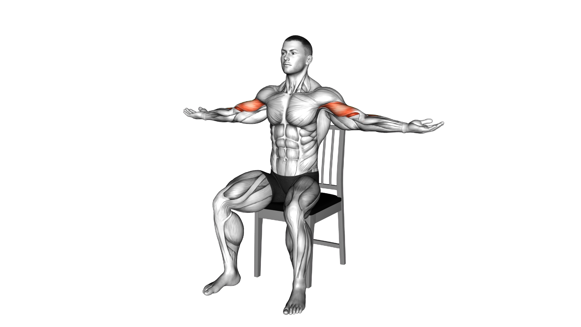 Seated Shoulder Tap on a Chair exercise demonstration