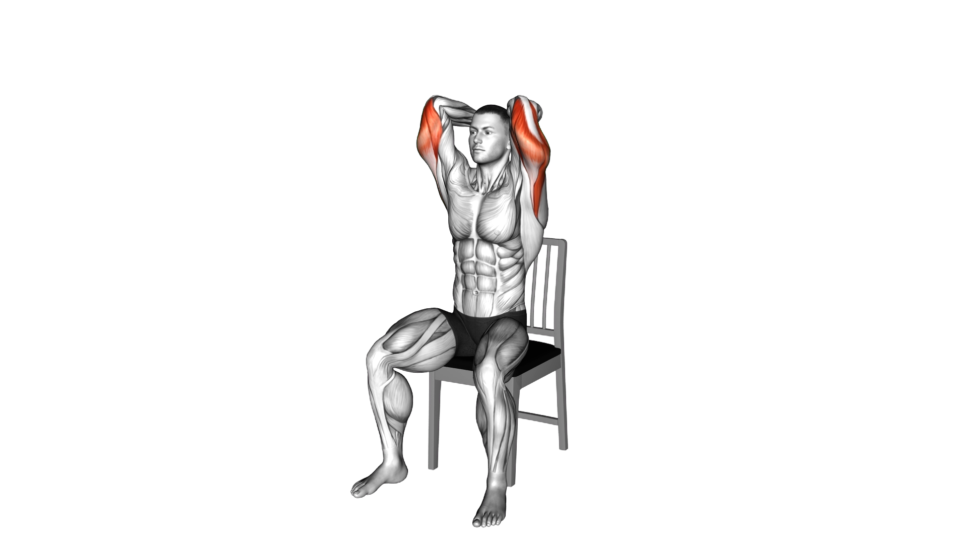 Seated Overhead Triceps Extension on a Chair exercise demonstration