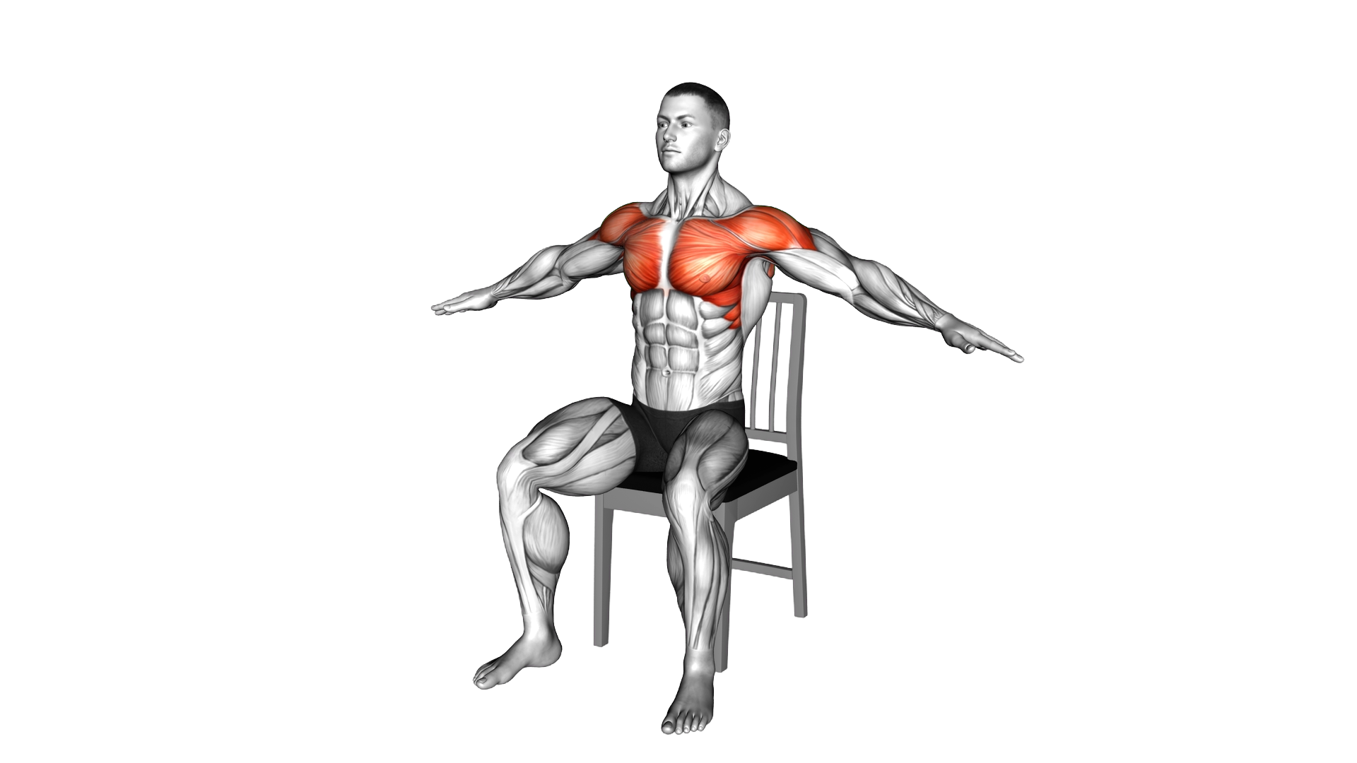 Seated Underhand Arm Circle on a Chair exercise demonstration