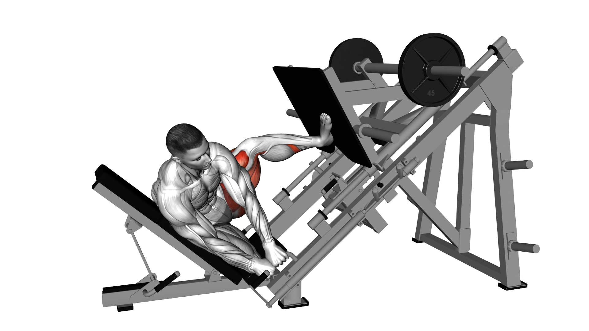 Sled Side Leg Press exercise demonstration
