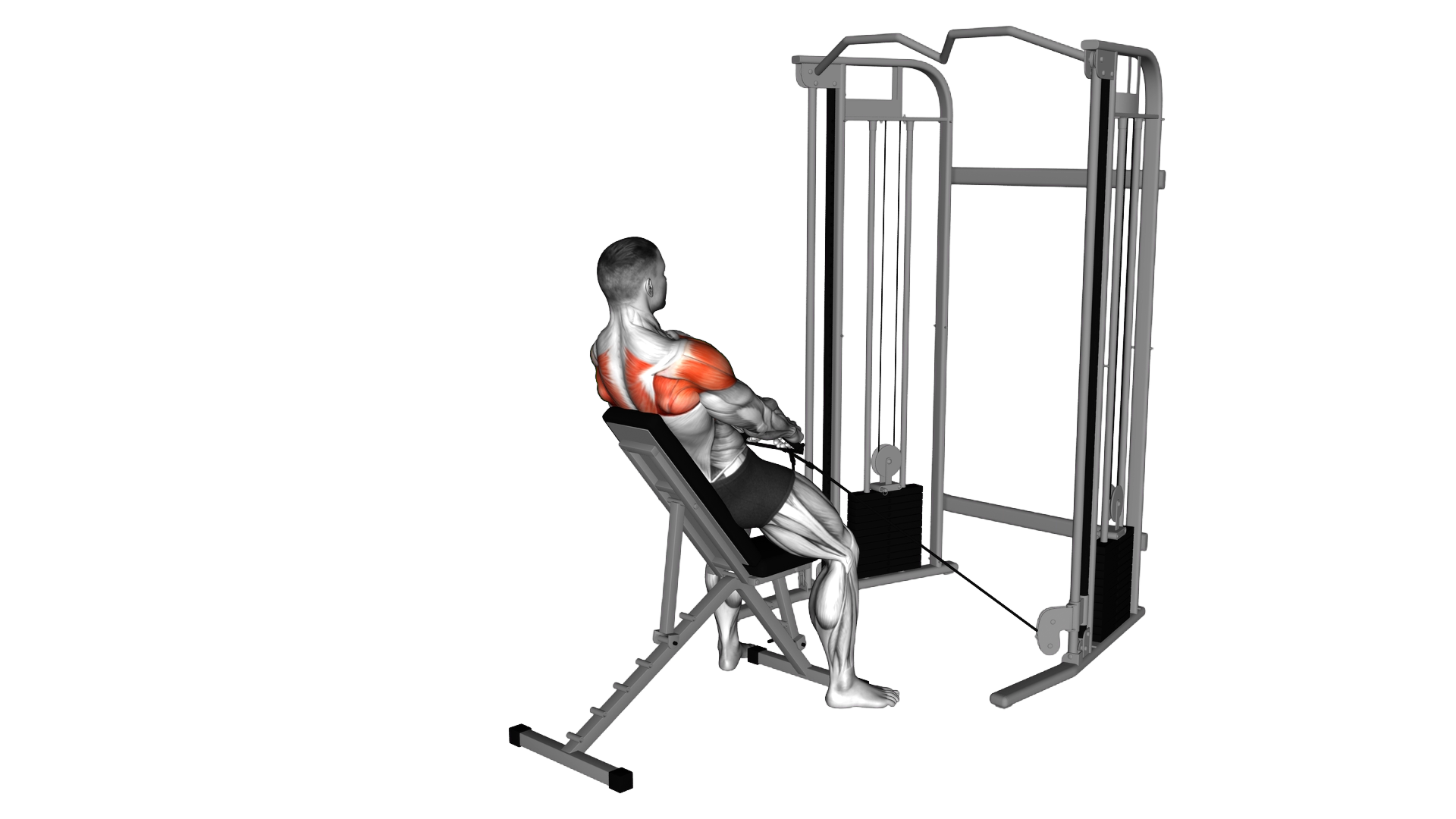 Cable Incline Y Raise with Back Support exercise demonstration