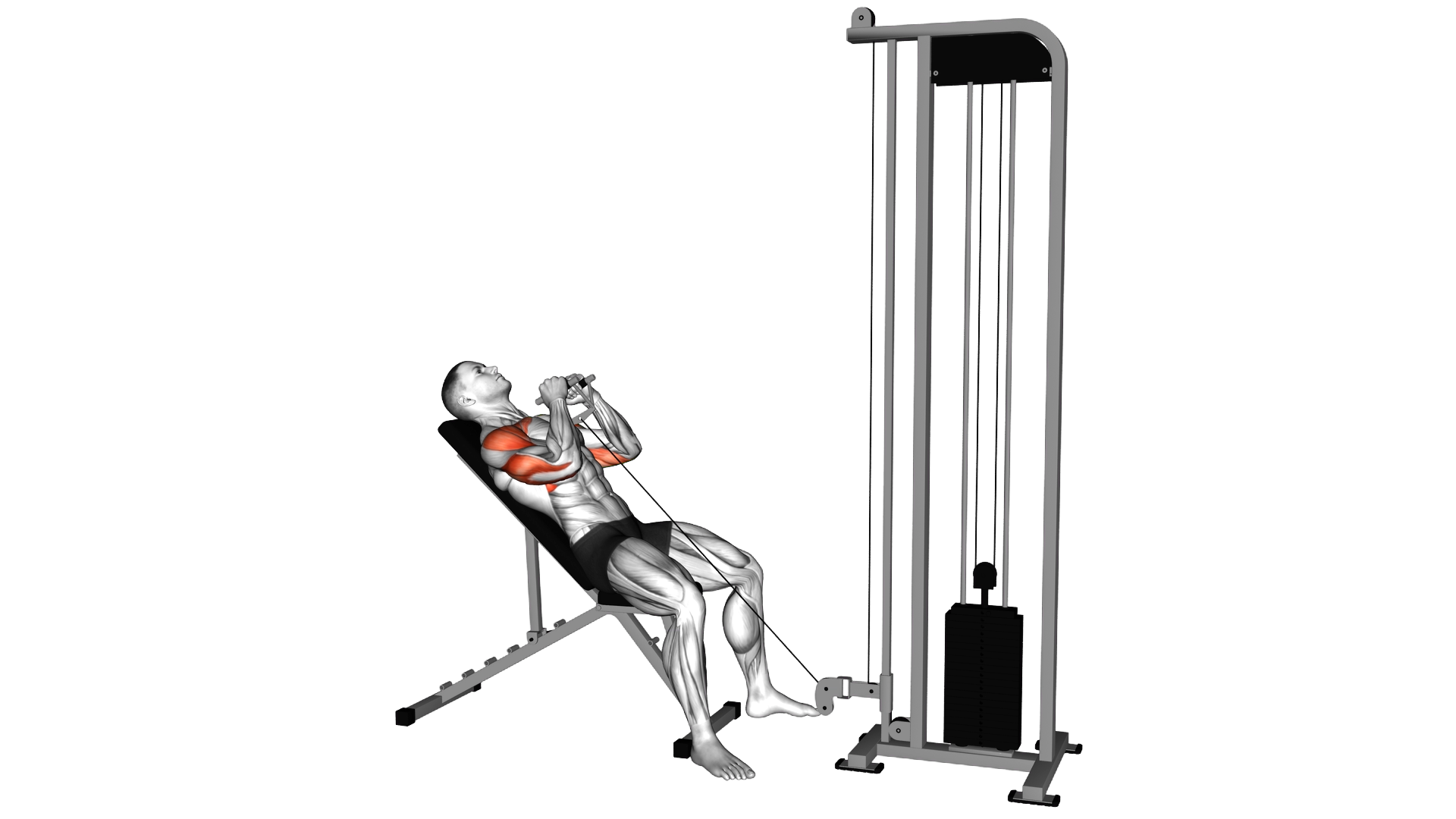 Cable Incline Close Grip Shoulder Press with V Bar exercise demonstration
