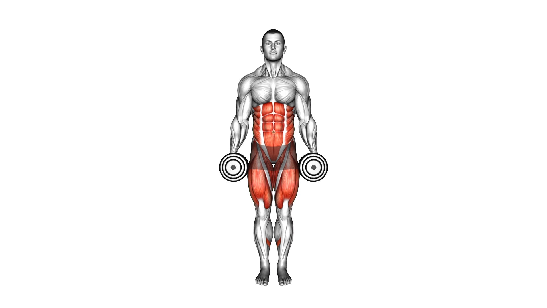 Dumbbell Curtsey Lunge exercise demonstration