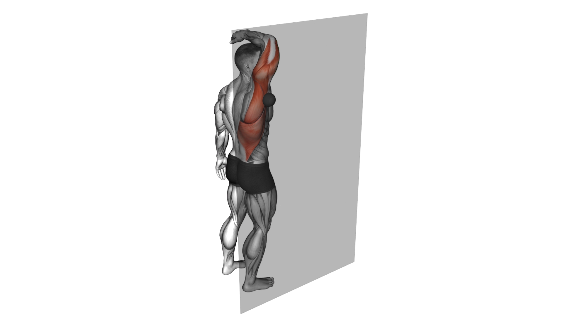 Roll Ball Triceps Latissimus Dorsi Stretch exercise demonstration