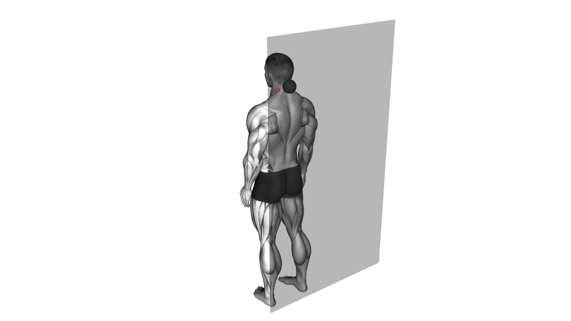 Roll Ball Back Head Stretch exercise demonstration