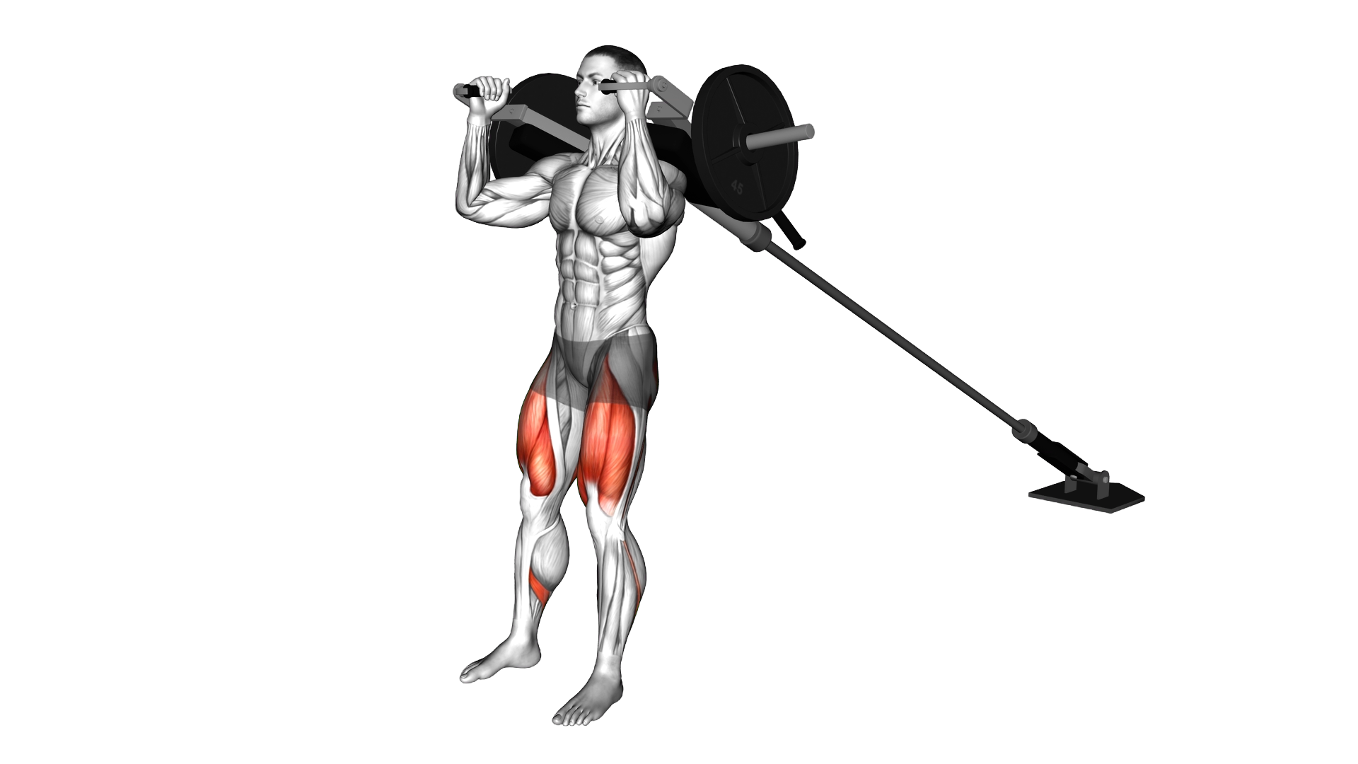 Landmine Squat with Linebacker Attachment exercise demonstration