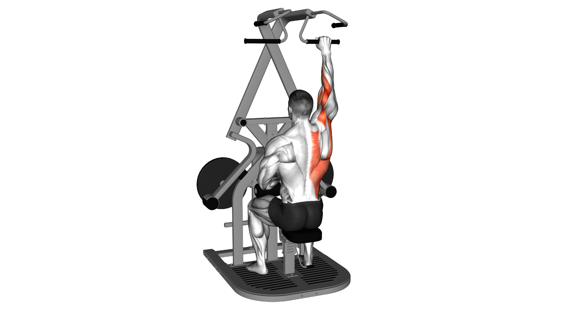 Lever Seated Single Arm Wide Lat Pulldown exercise demonstration
