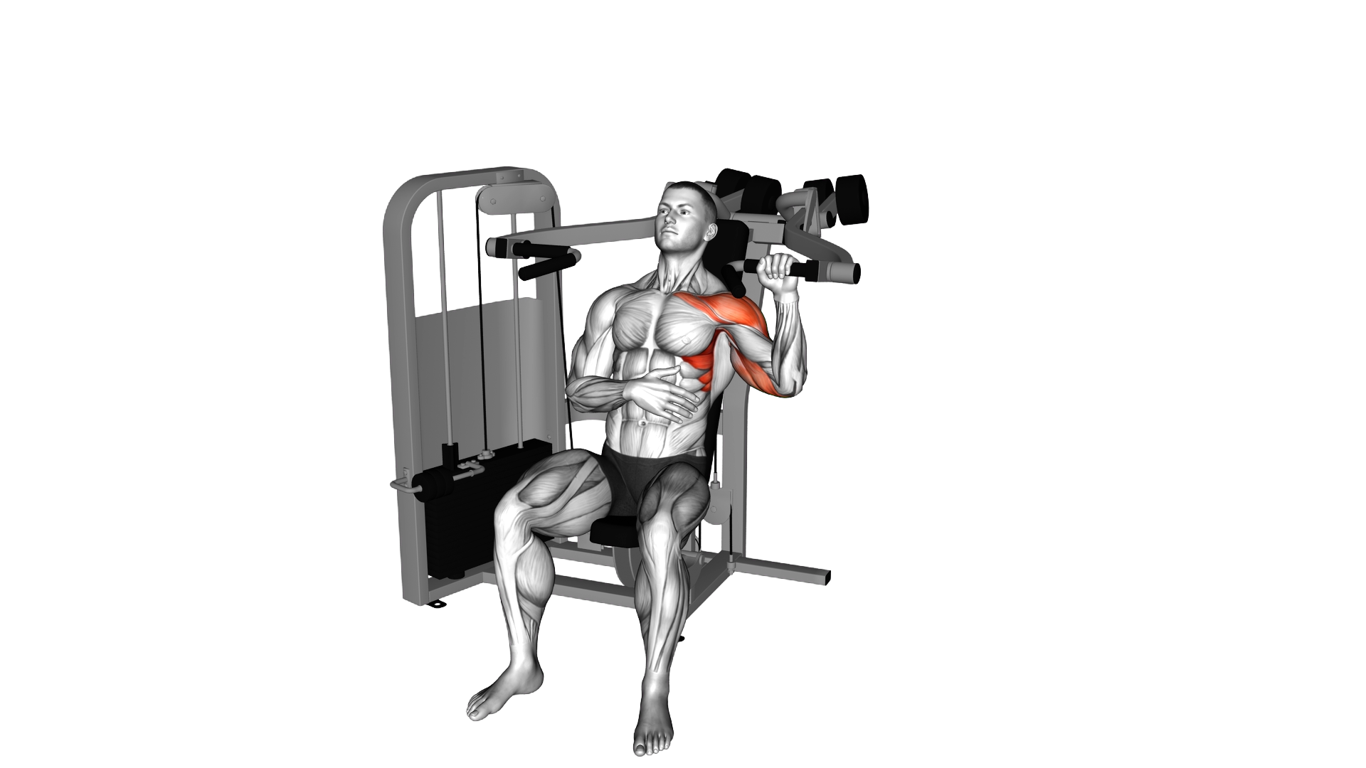 Lever Seated Single Arm Shoulder Press exercise demonstration