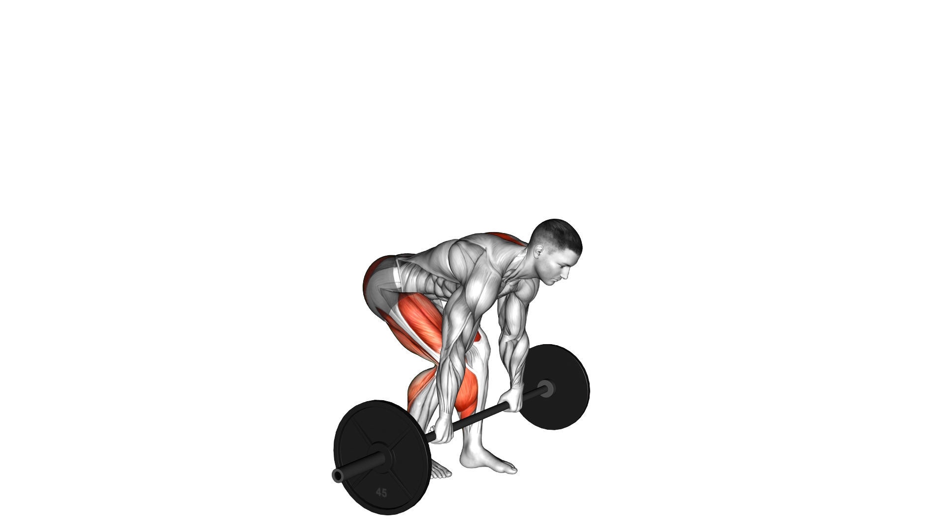 Barbell Staggered Stance Deadlift exercise demonstration