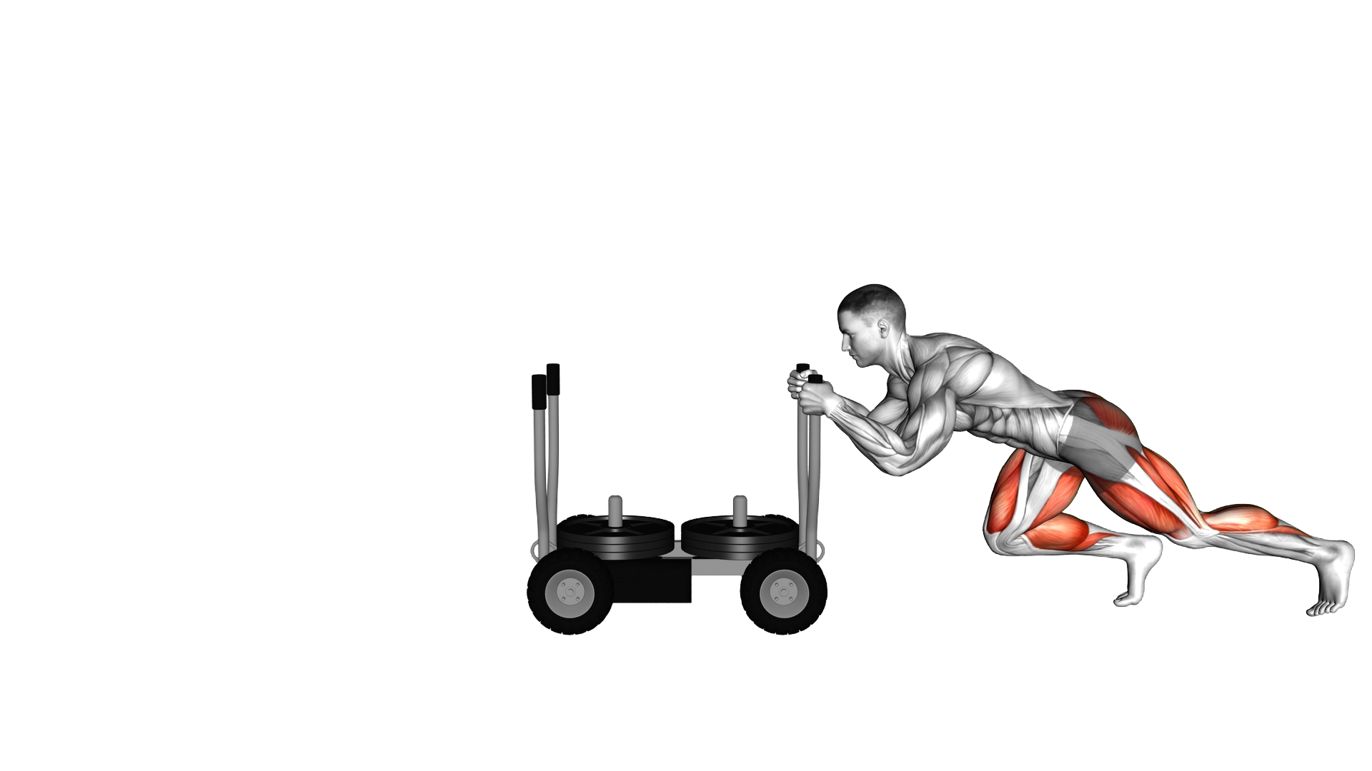 Torque Tank Push exercise demonstration