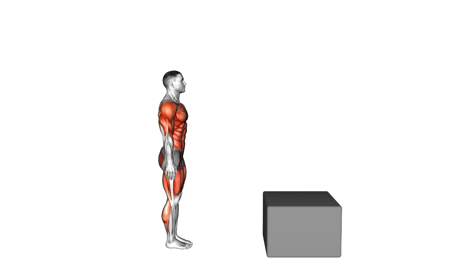 Burpee Jump Box exercise thumbnail