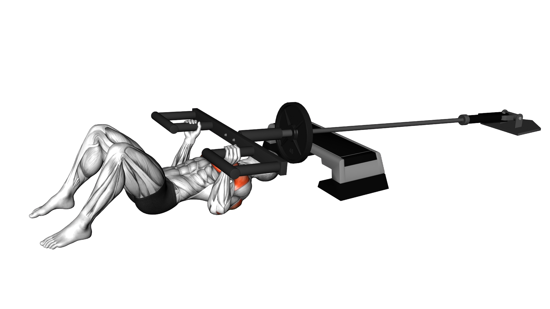 Landmine Neutral Grip Chest Press with Viking Pres exercise demonstration