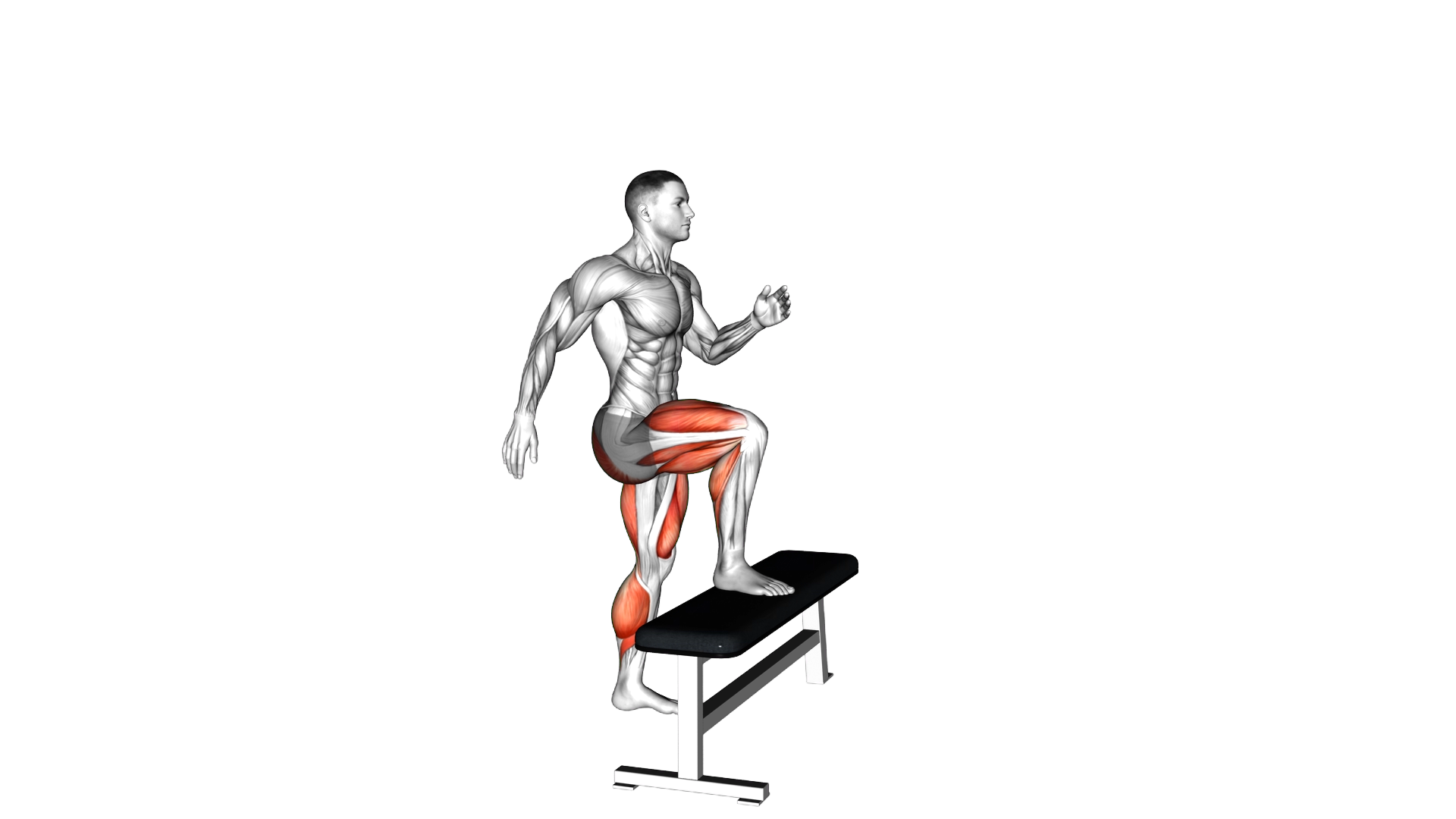 Step Up with Knee Drive exercise demonstration