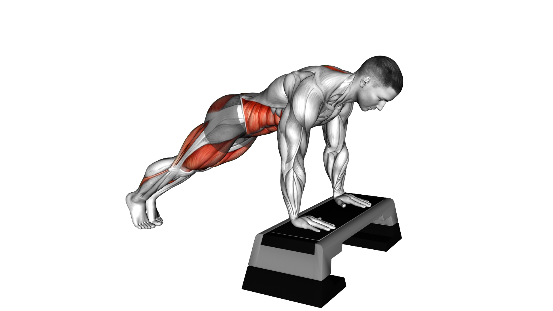 Incline Mountain Climber on Stepbox exercise thumbnail