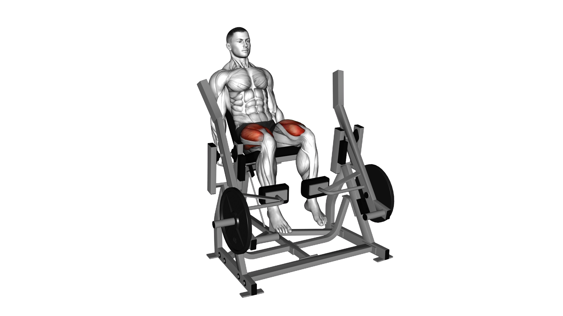 Lever Leg Extension (plate loaded) exercise demonstration