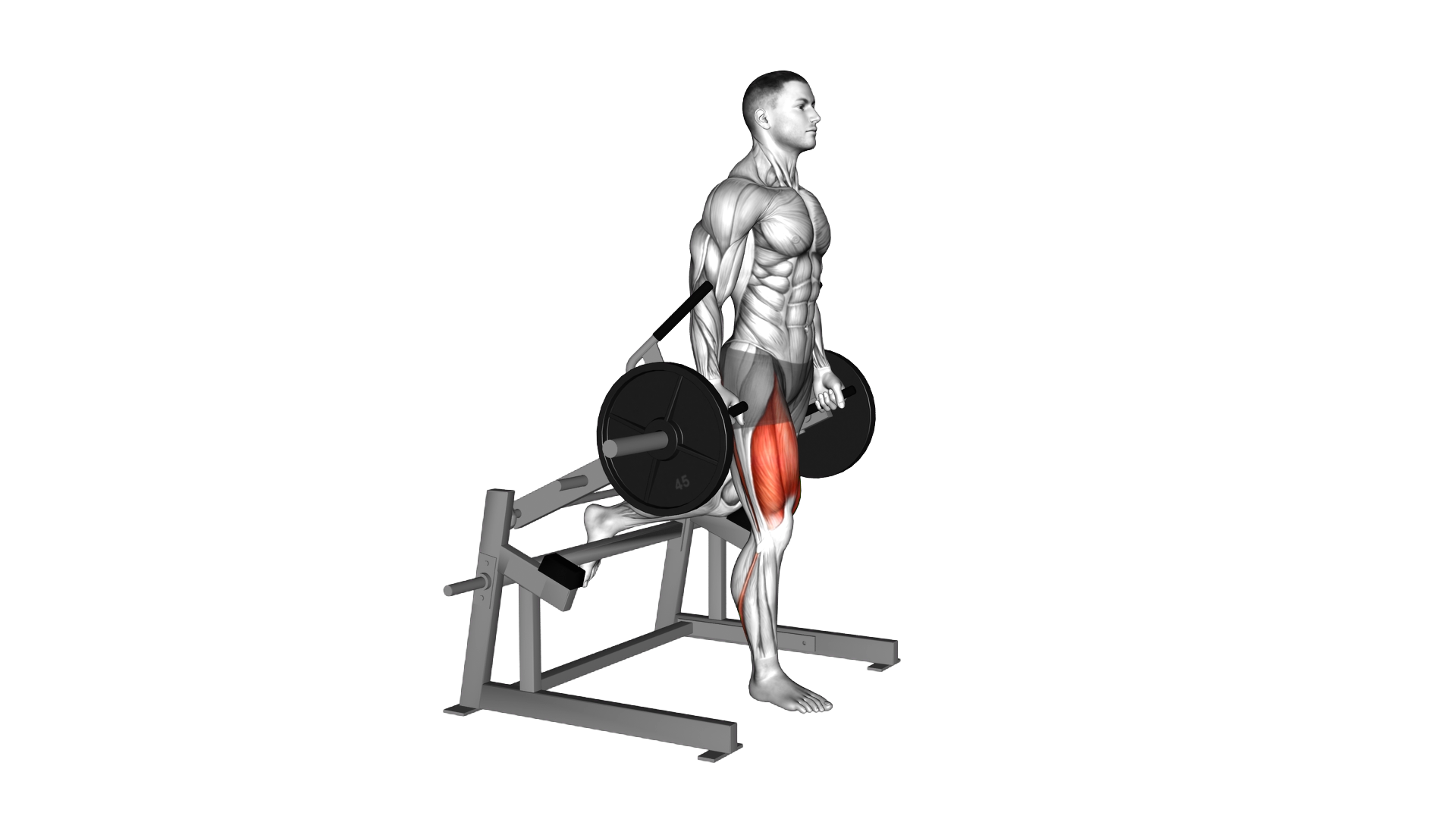 Lever Bulgarian Split Squat (plate loaded) exercise demonstration
