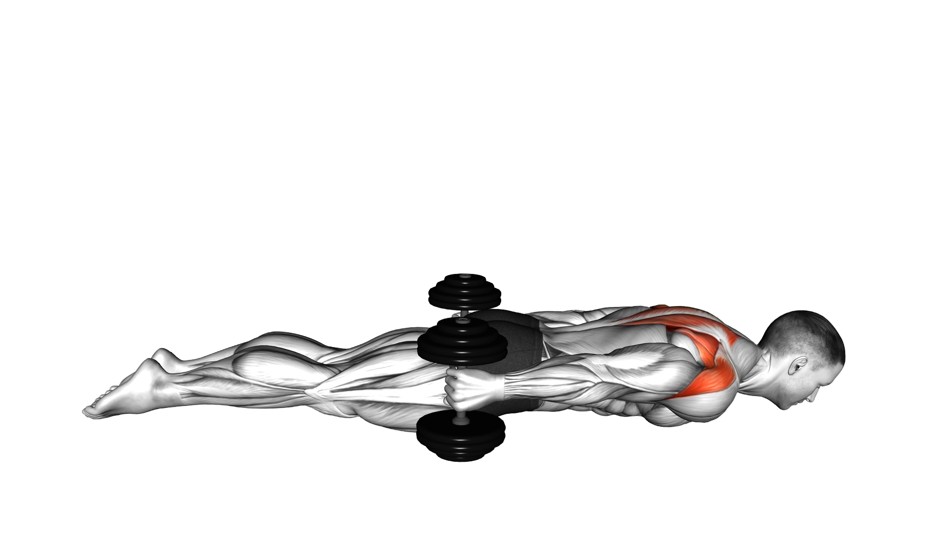 Lyine Prone Shoulder Extension exercise demonstration