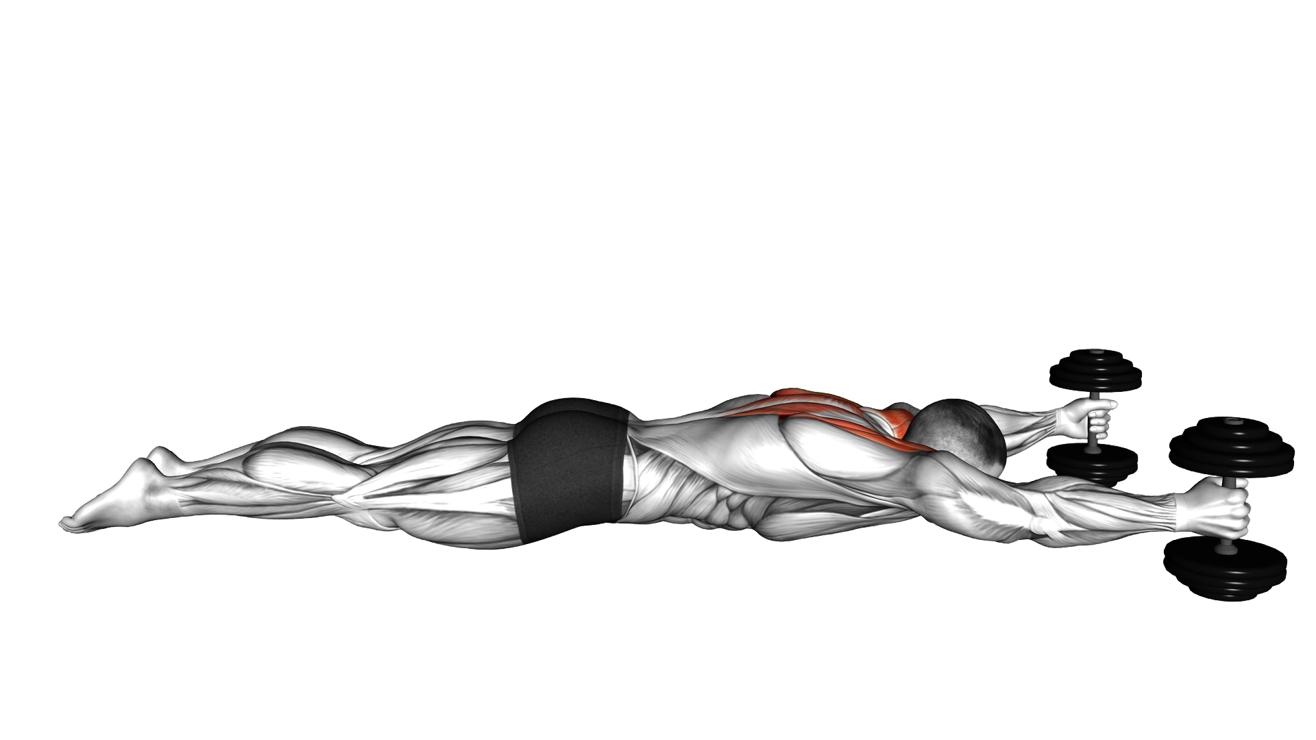 Lyine Prone Y Raise exercise demonstration