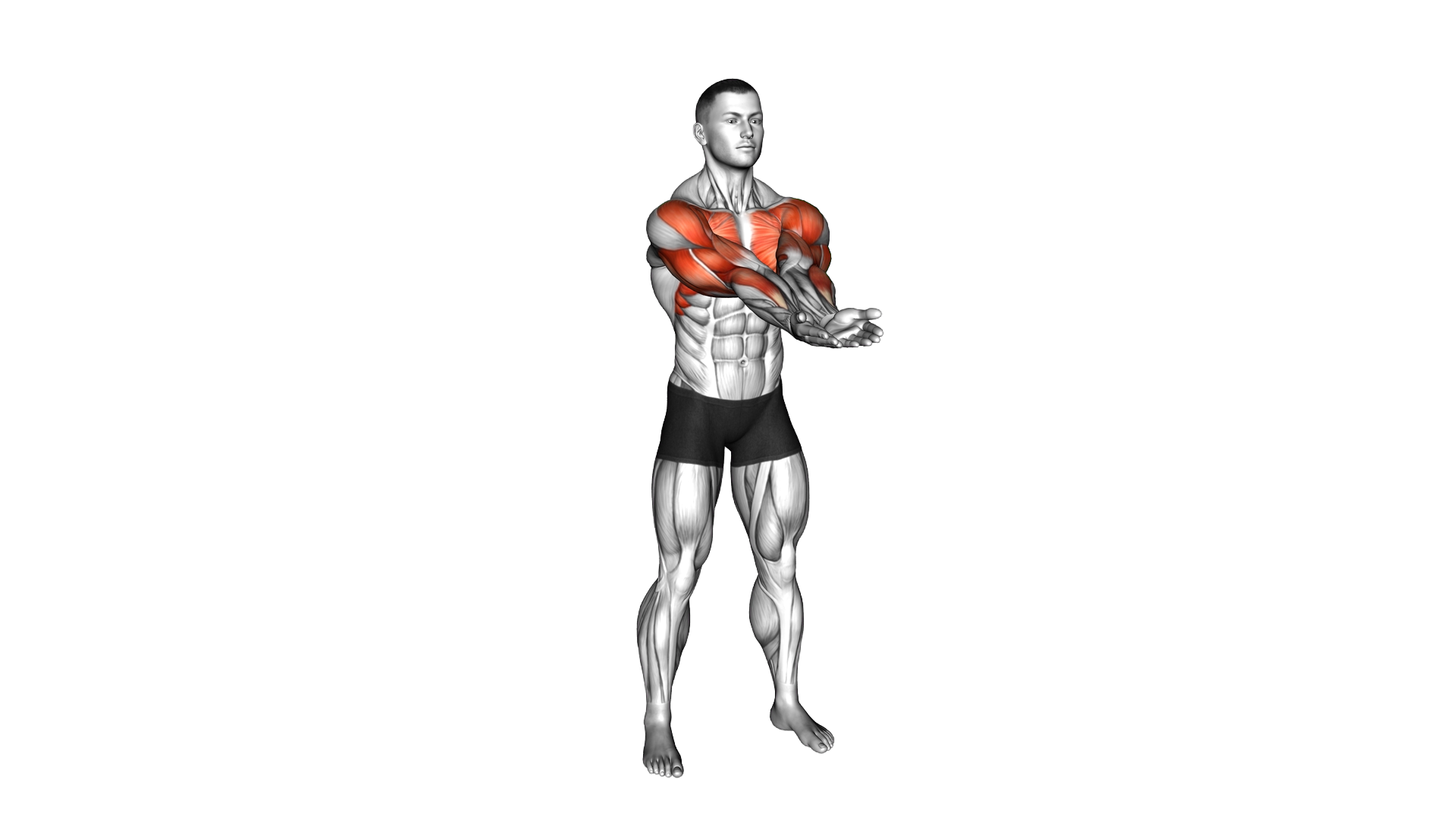Standing Elbow Together Scoop exercise demonstration
