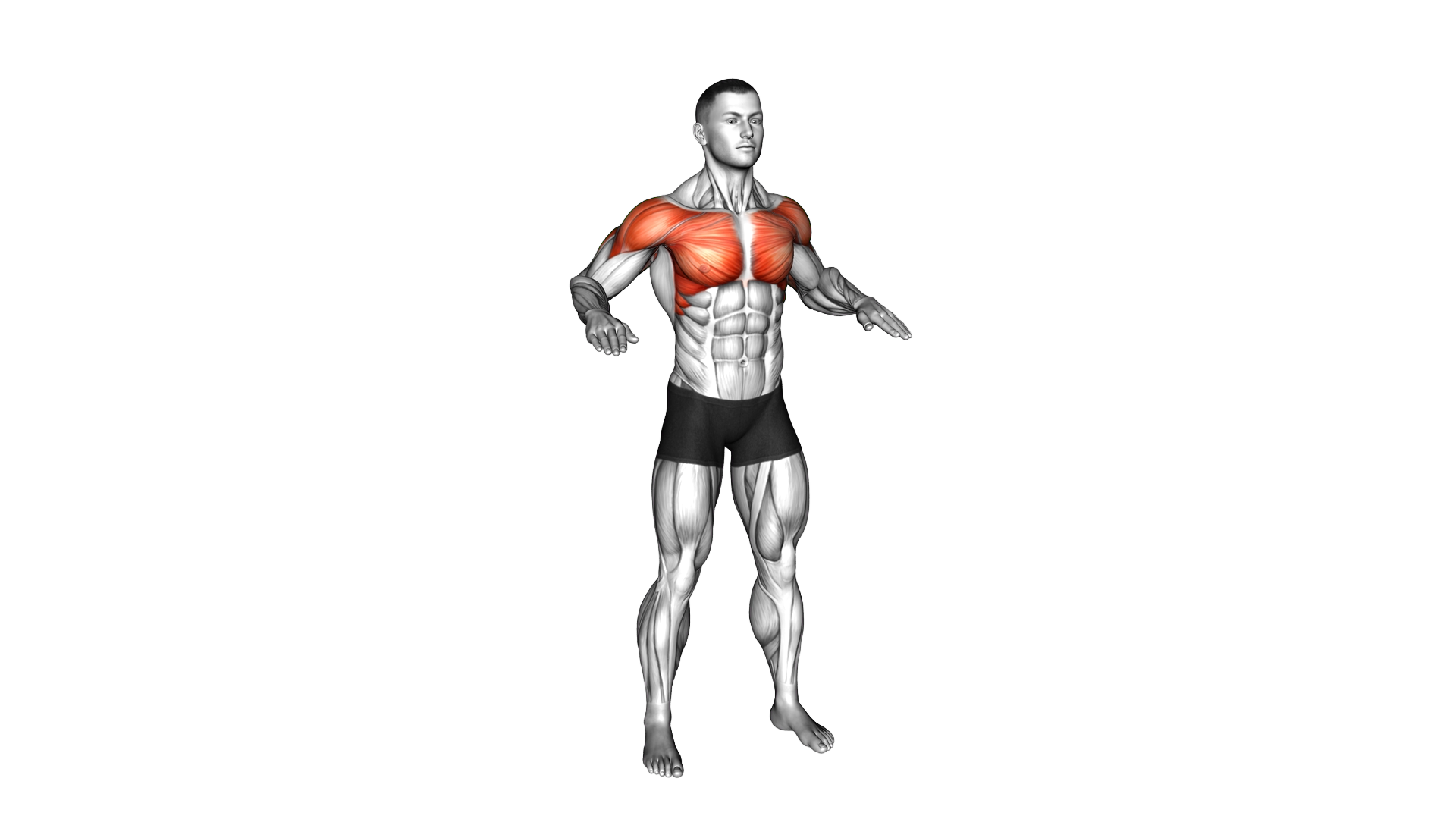 Standing Stacked Arms Lift exercise demonstration