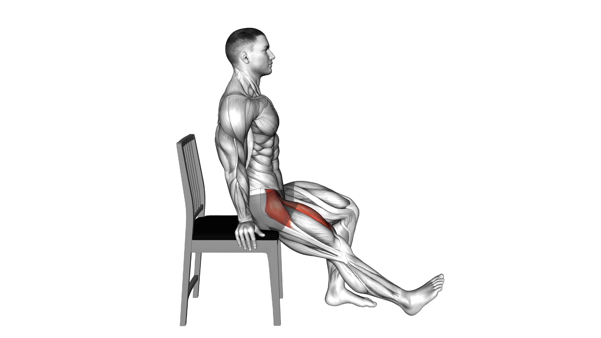 Seated Single Leg Raise on Chair exercise demonstration