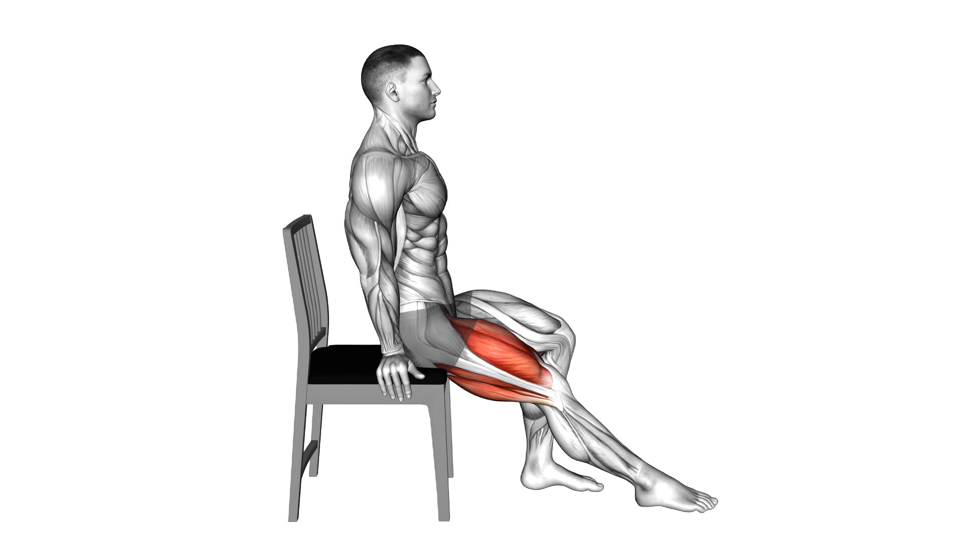 Seated Heel Slide on Chair exercise demonstration