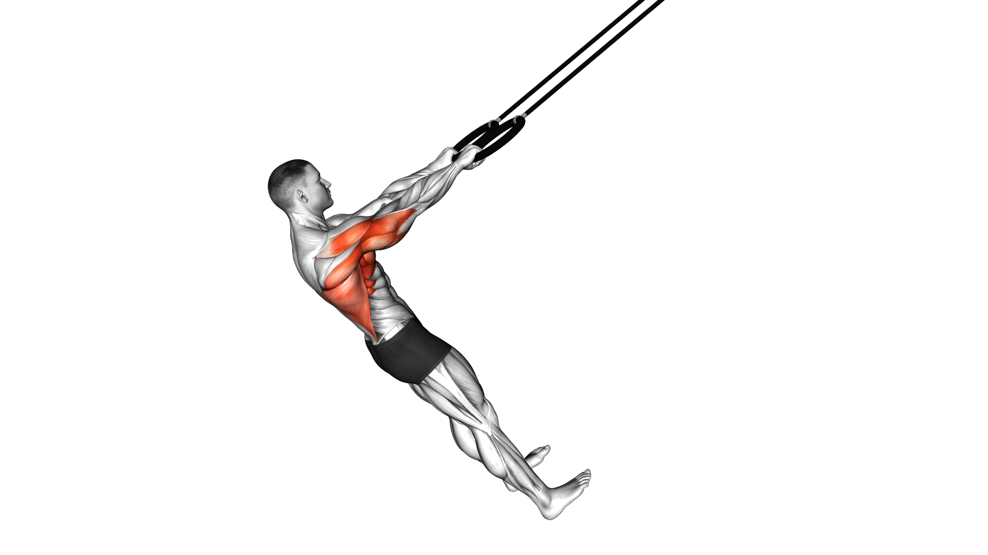 Ring Pullover exercise demonstration