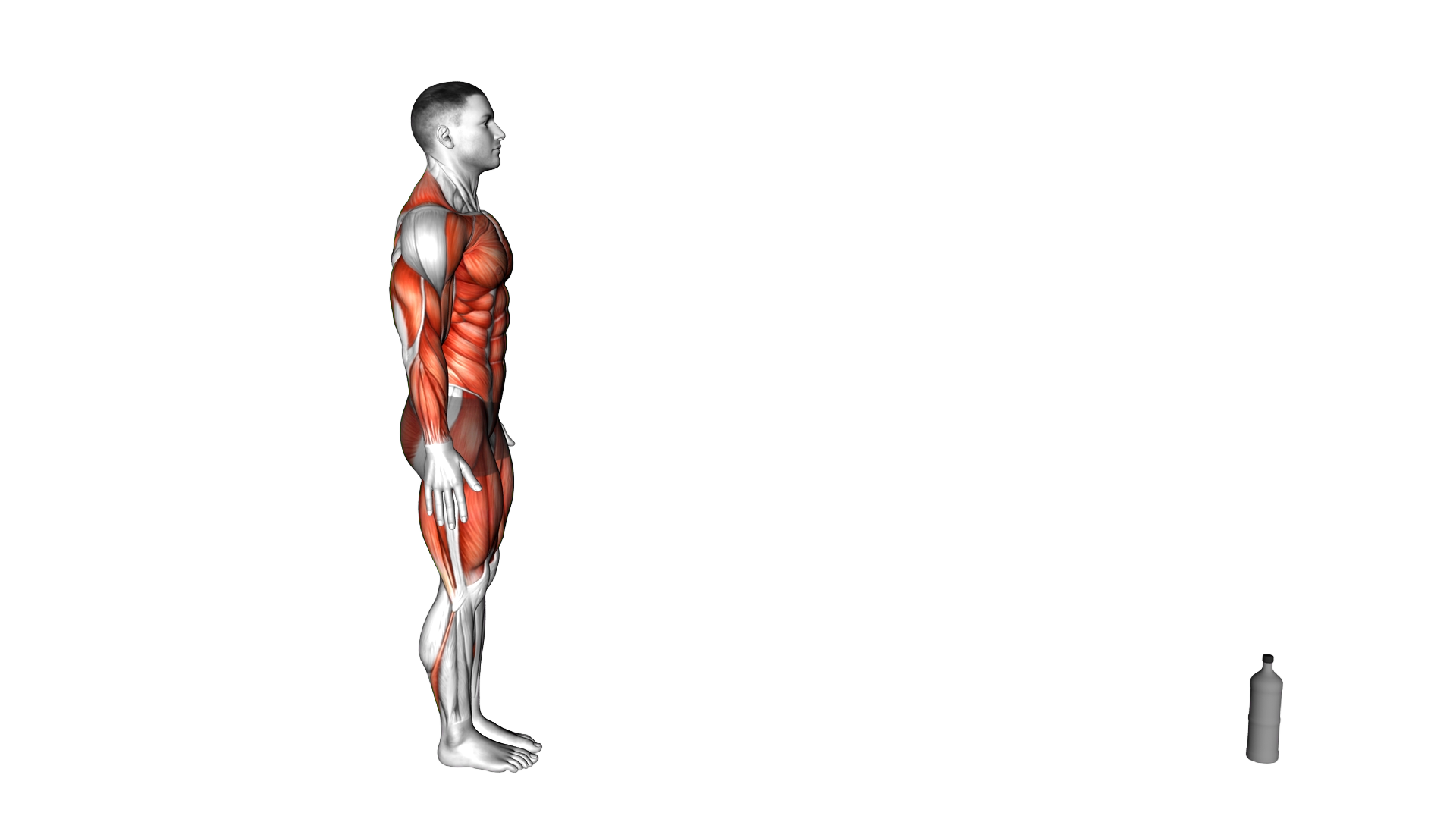 Inchworm Front Arm Tap exercise demonstration