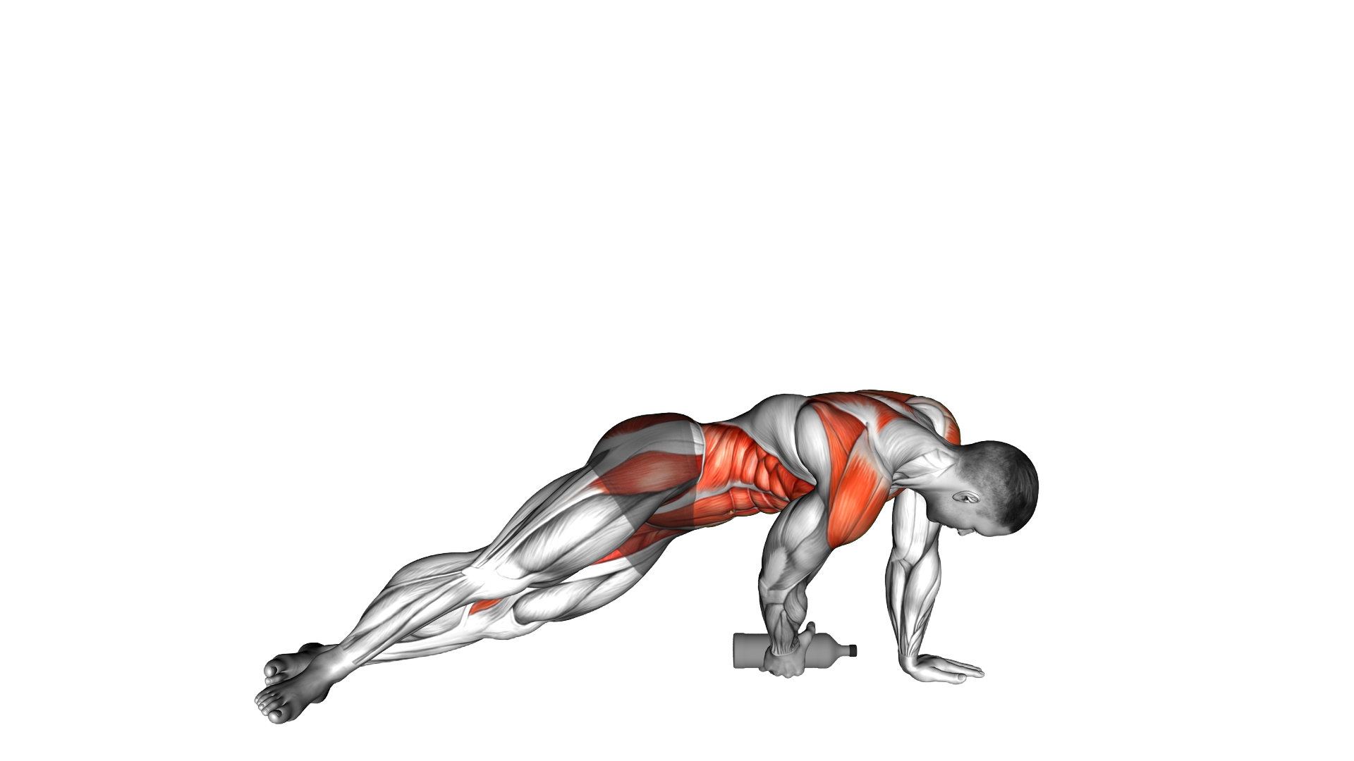 Weighted Bottle Side Floor Tap Plank exercise demonstration