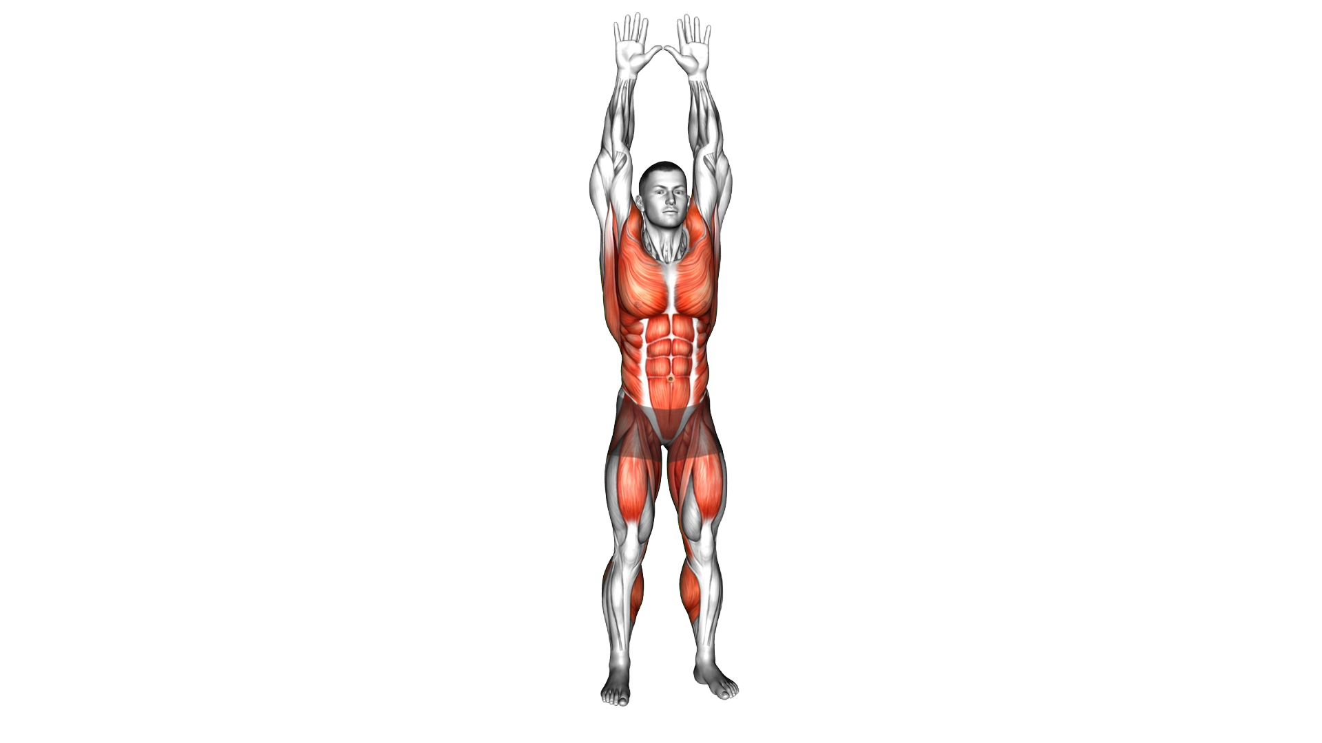 Overhead Knee Raise exercise demonstration