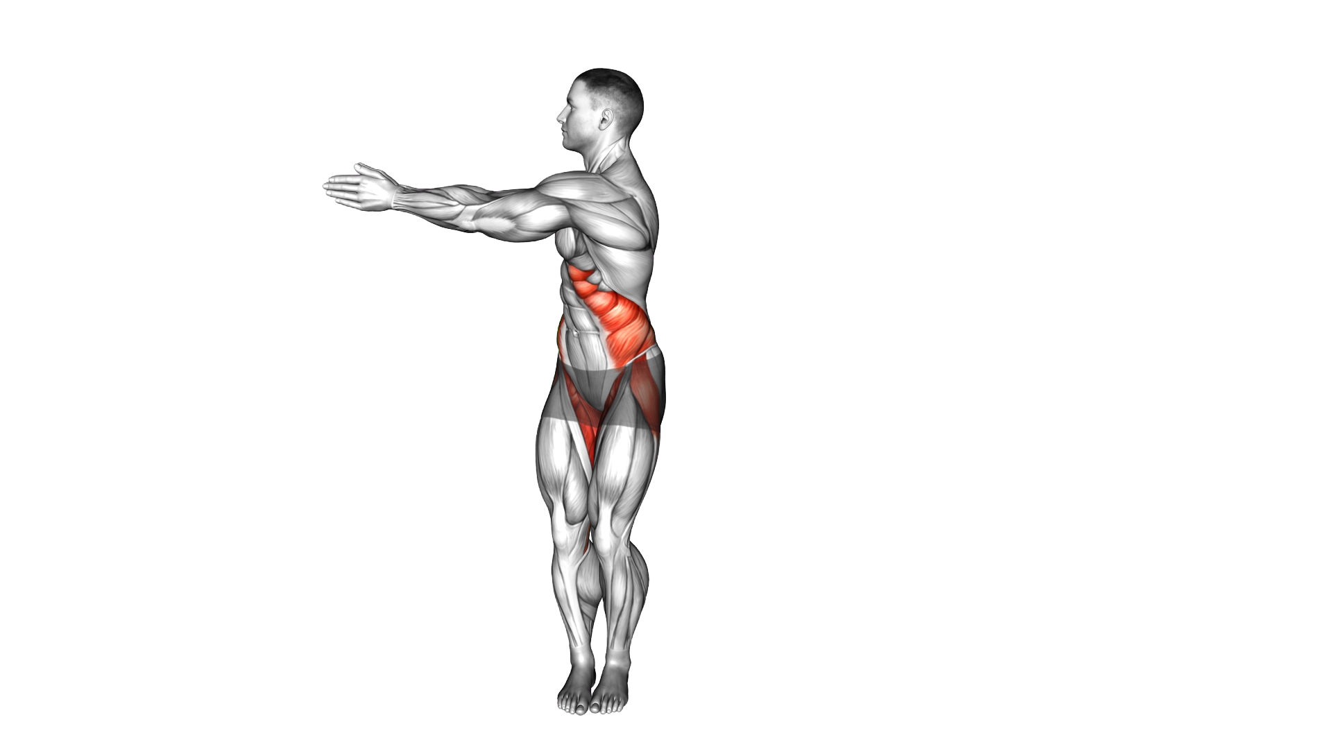 Ab Twist Toe Tap exercise demonstration
