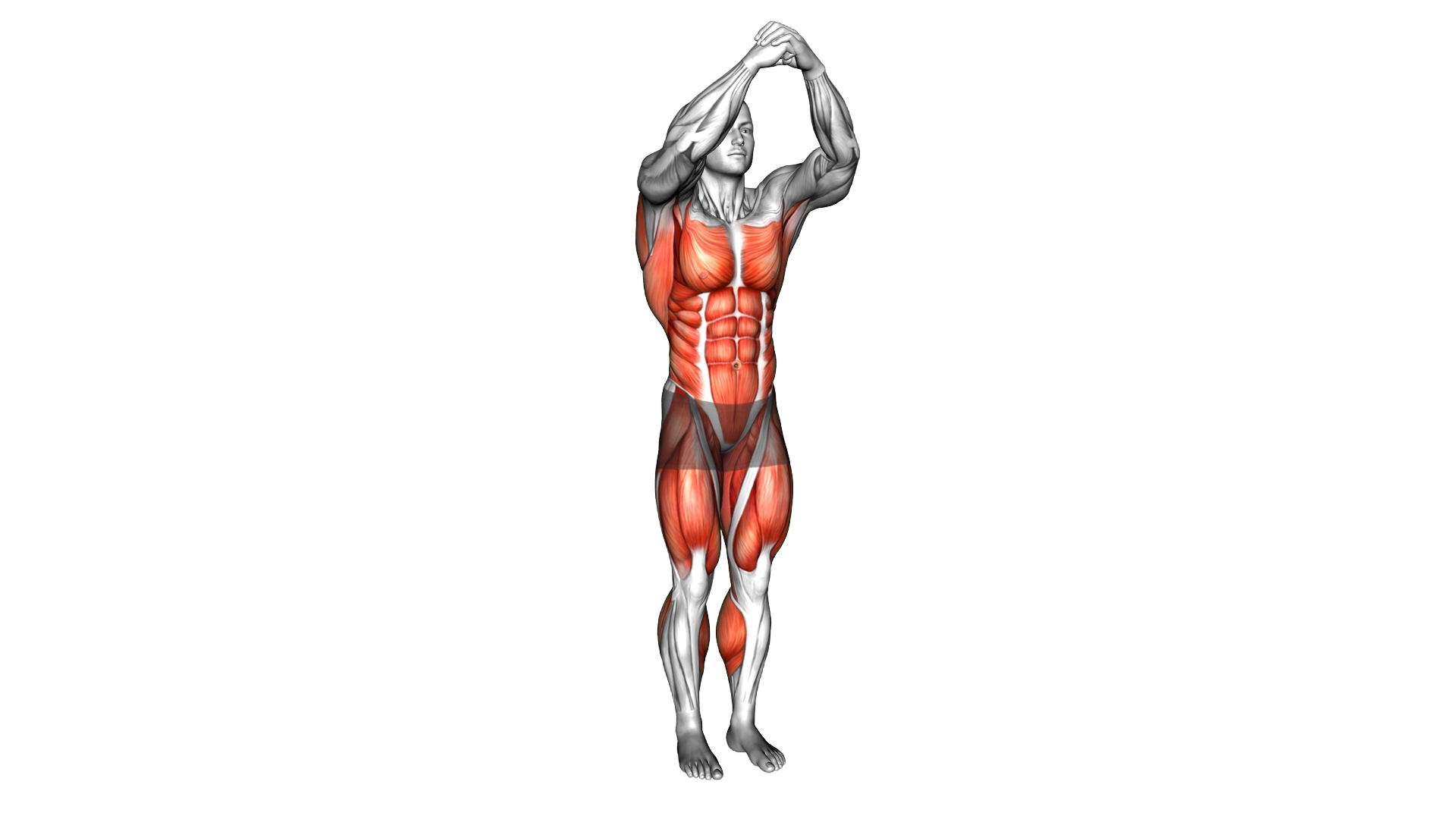 Front Kick Twist exercise demonstration