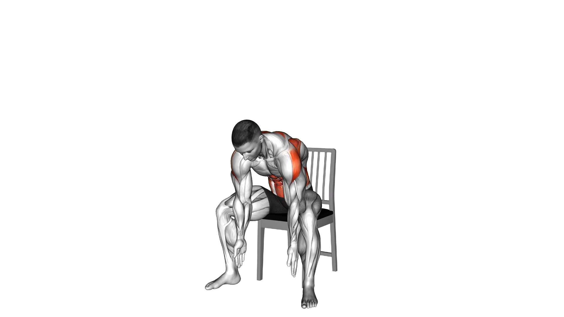 Seated Alternate Thoracic Rotation on a Chair exercise demonstration