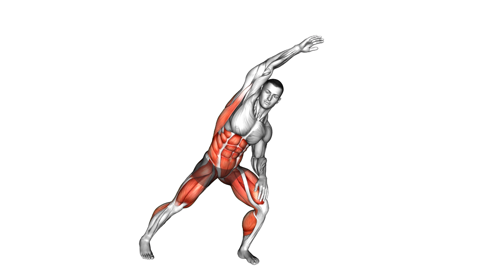Alternate Side Step Jump Side Bend exercise demonstration