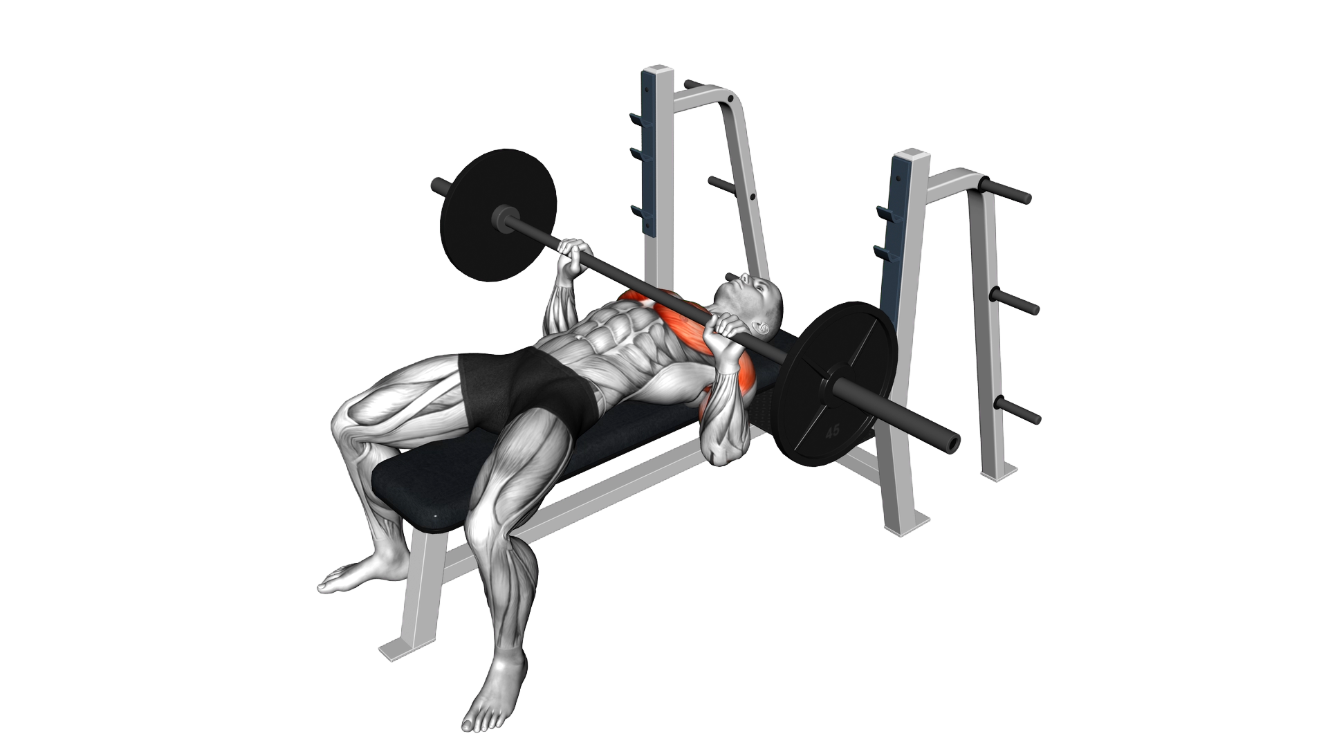 Barbell Explosive Bench Press exercise demonstration