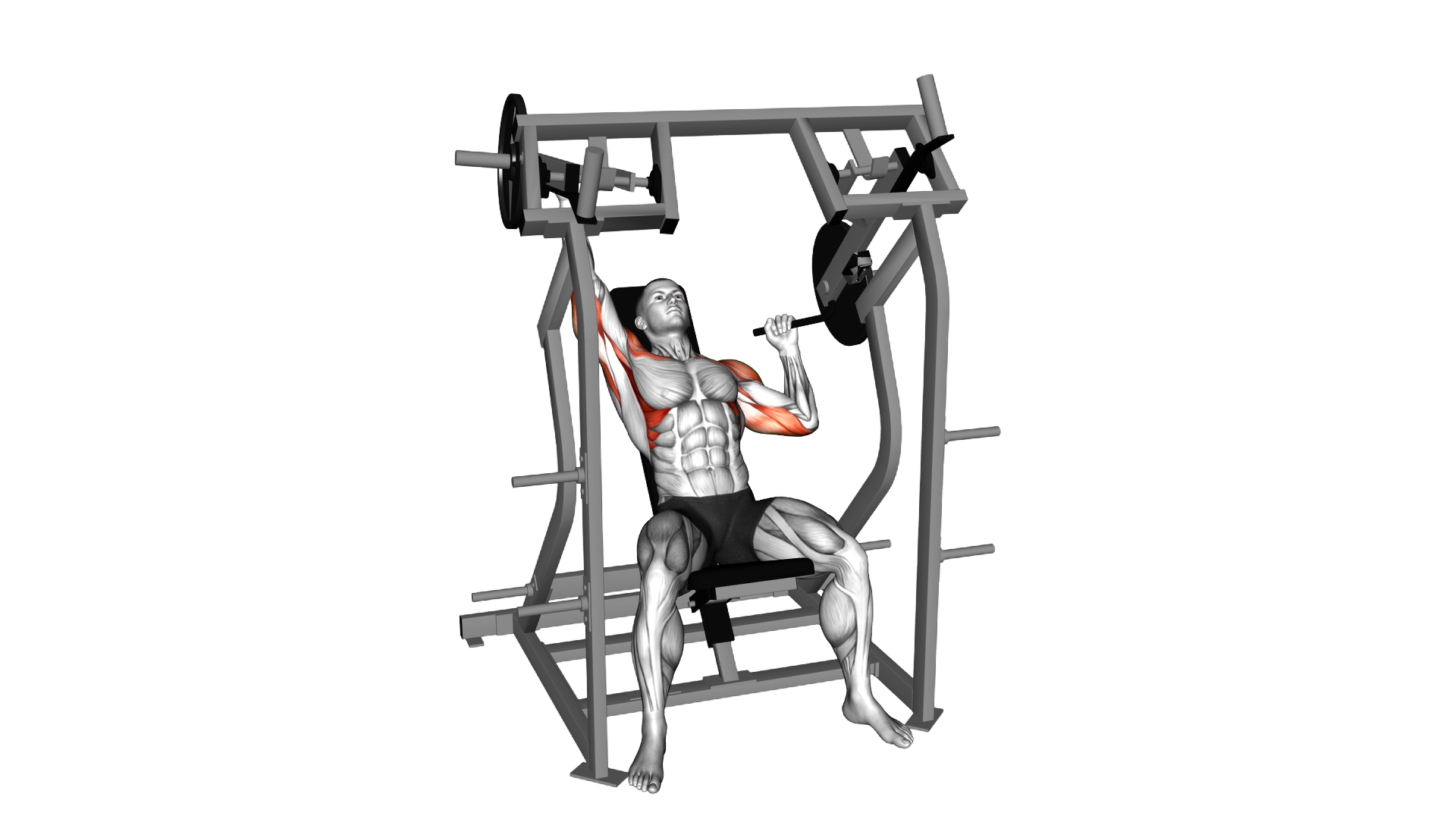 Lever Single Arm Shoulder Press (plate loaded) (VE exercise demonstration