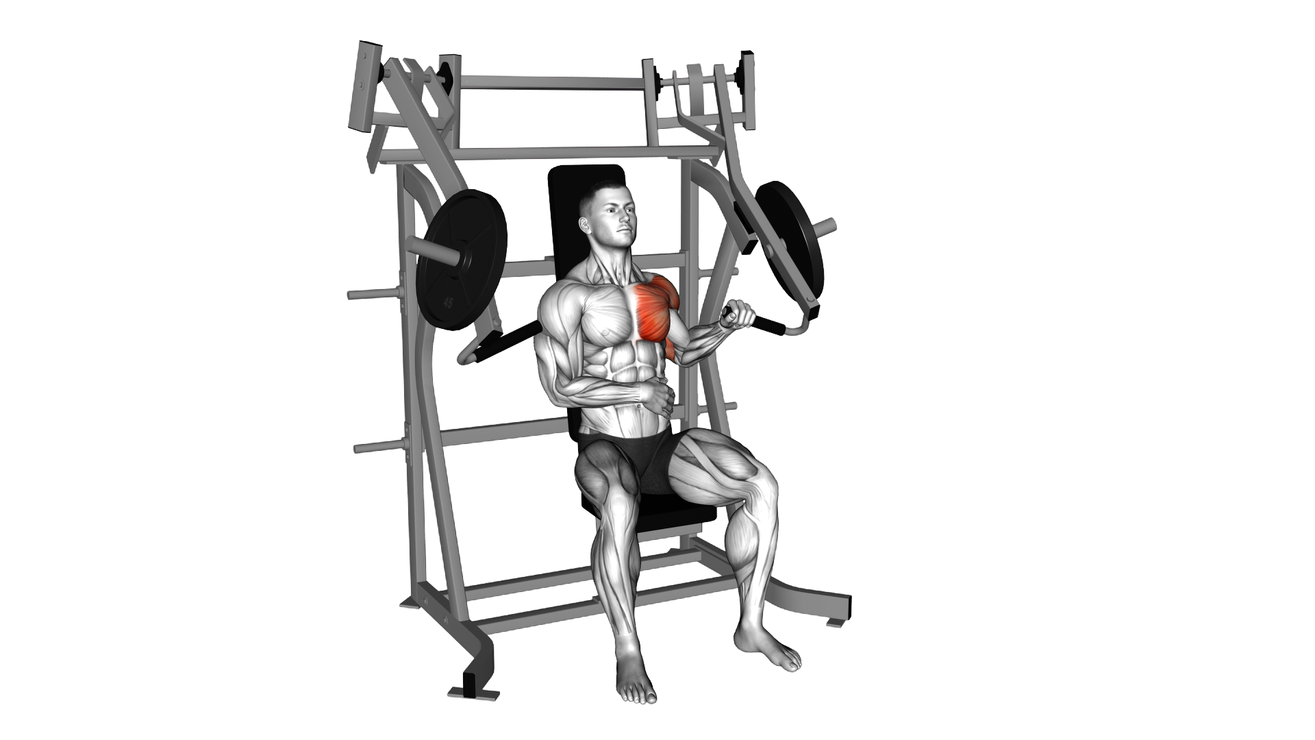 Lever Incline Single Arm Chest Press exercise demonstration