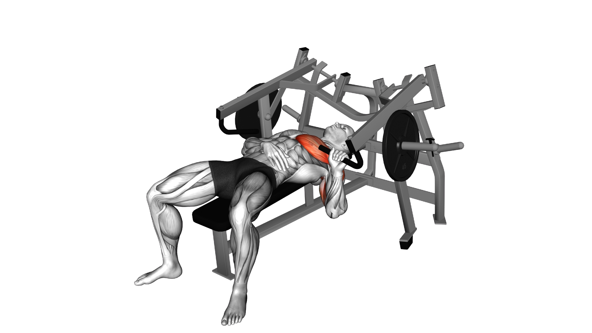Lever Lying Single Arm Full Chest Press (plate loa exercise demonstration
