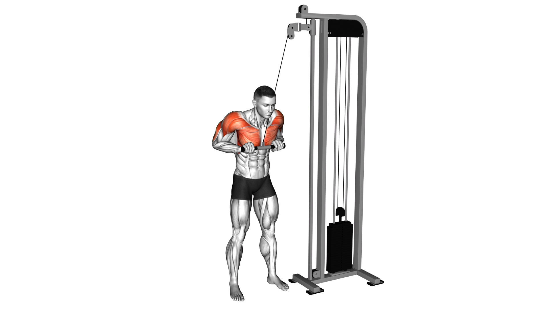Cable Jack Hammer Pushdown exercise demonstration