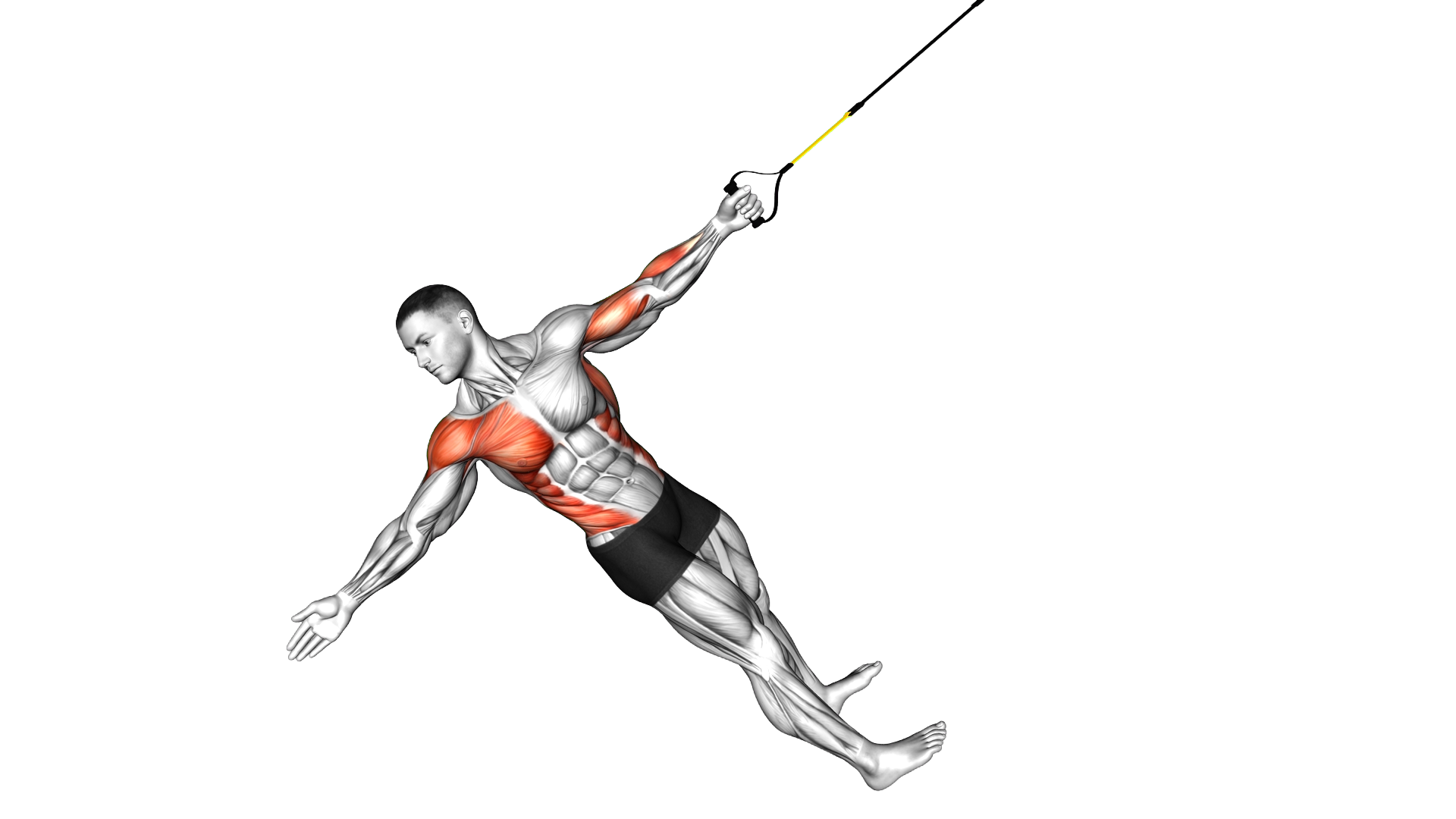 Suspender Power Pull exercise demonstration