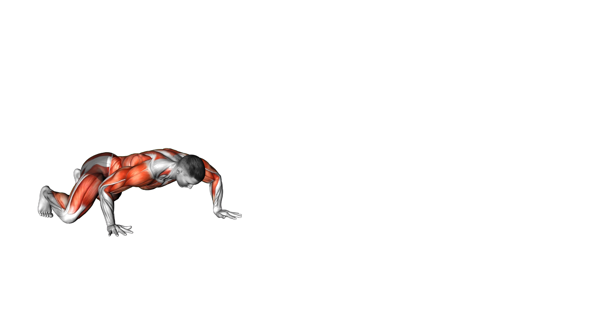 Spider Crawl exercise demonstration