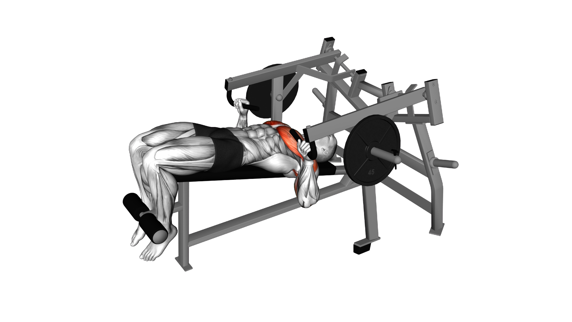 Lever Lying Decline Chest Press (plate loaded) exercise demonstration