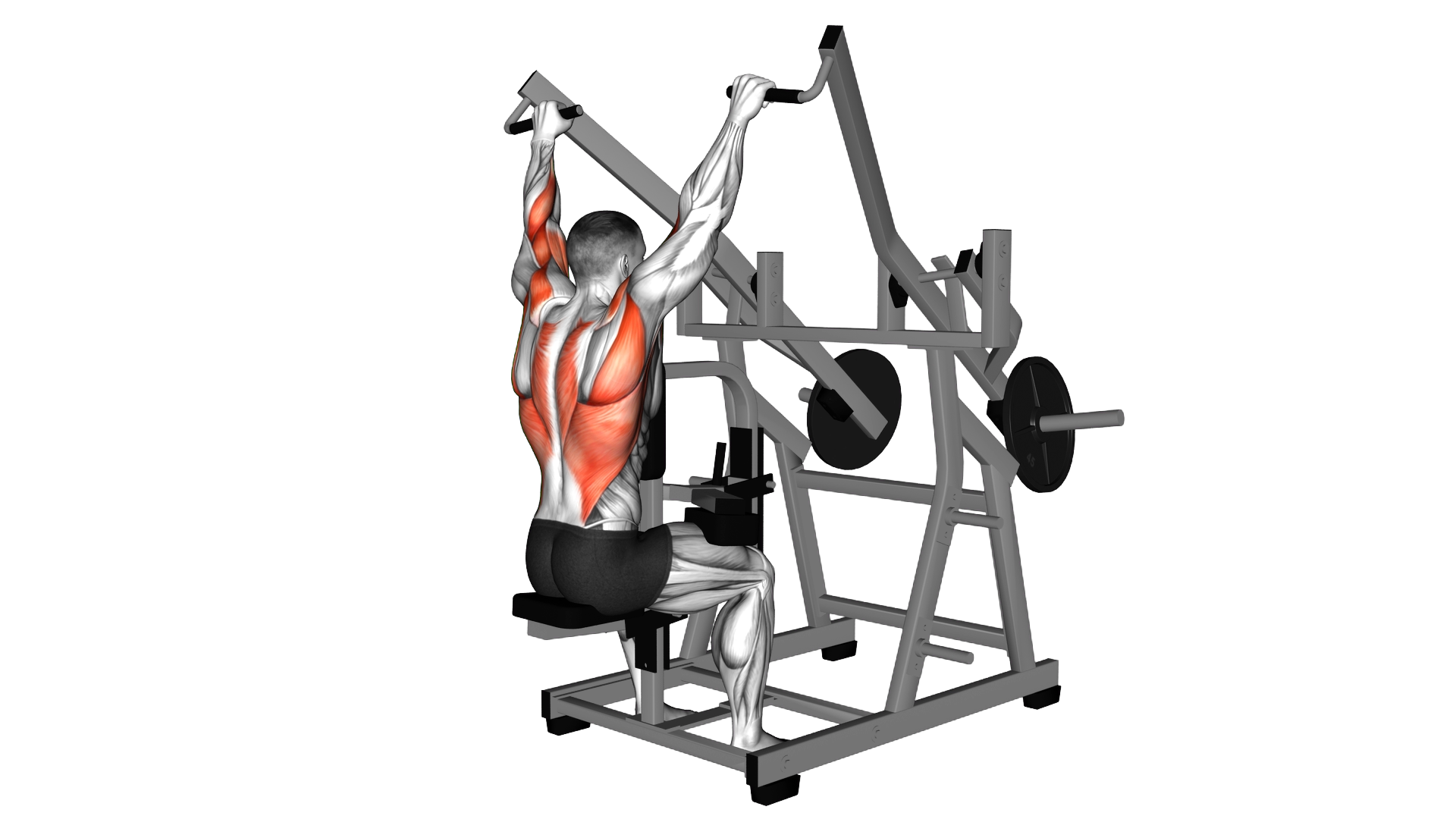Lever Seated Wide Pulldown (plate loaded) exercise demonstration
