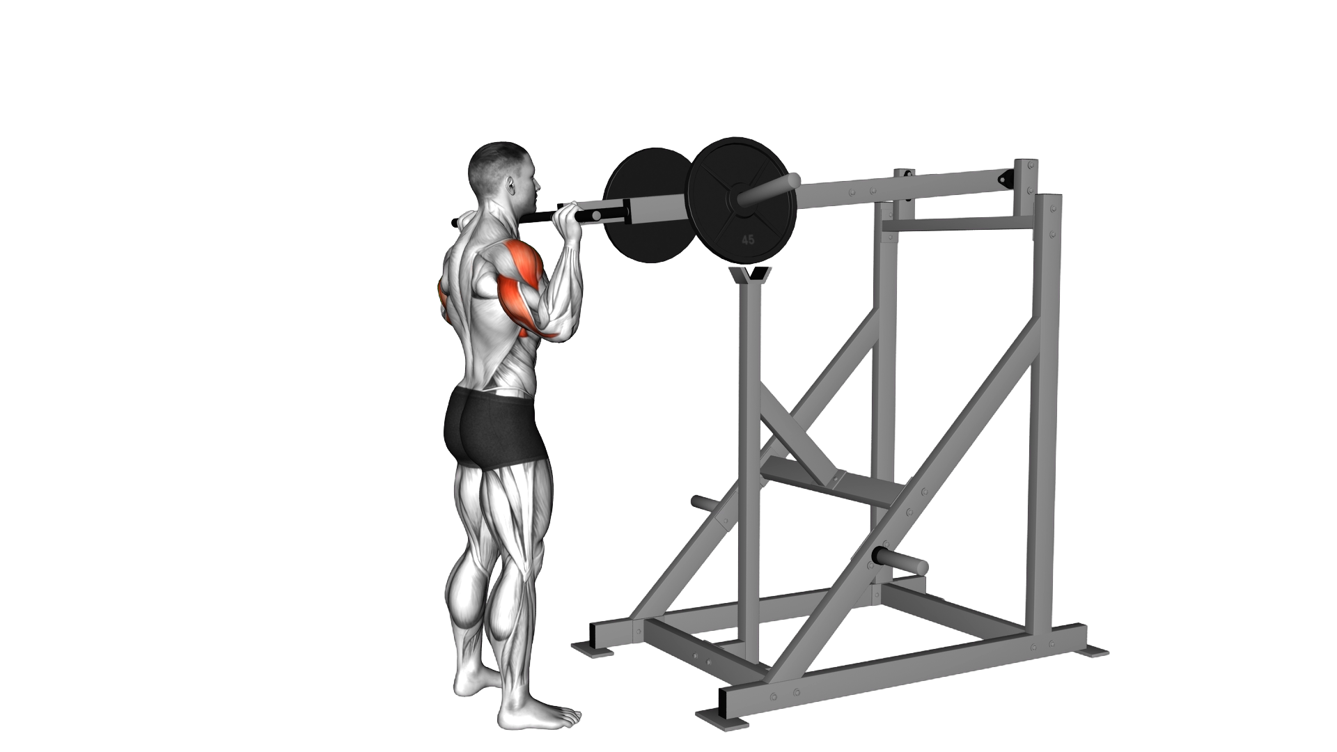 Lever Standing Viking Press exercise demonstration