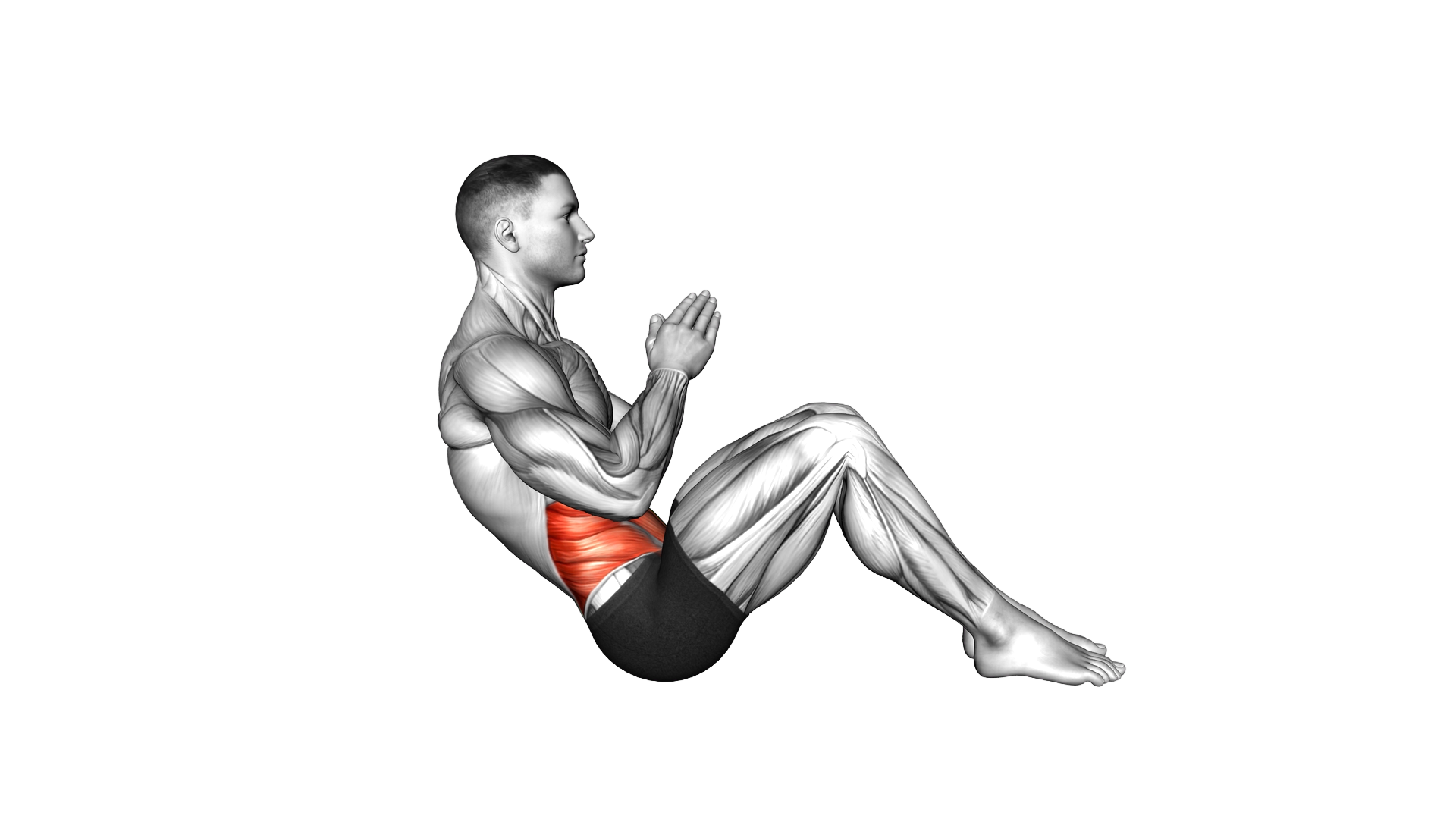 Double Palm Tap Russian Twist exercise demonstration