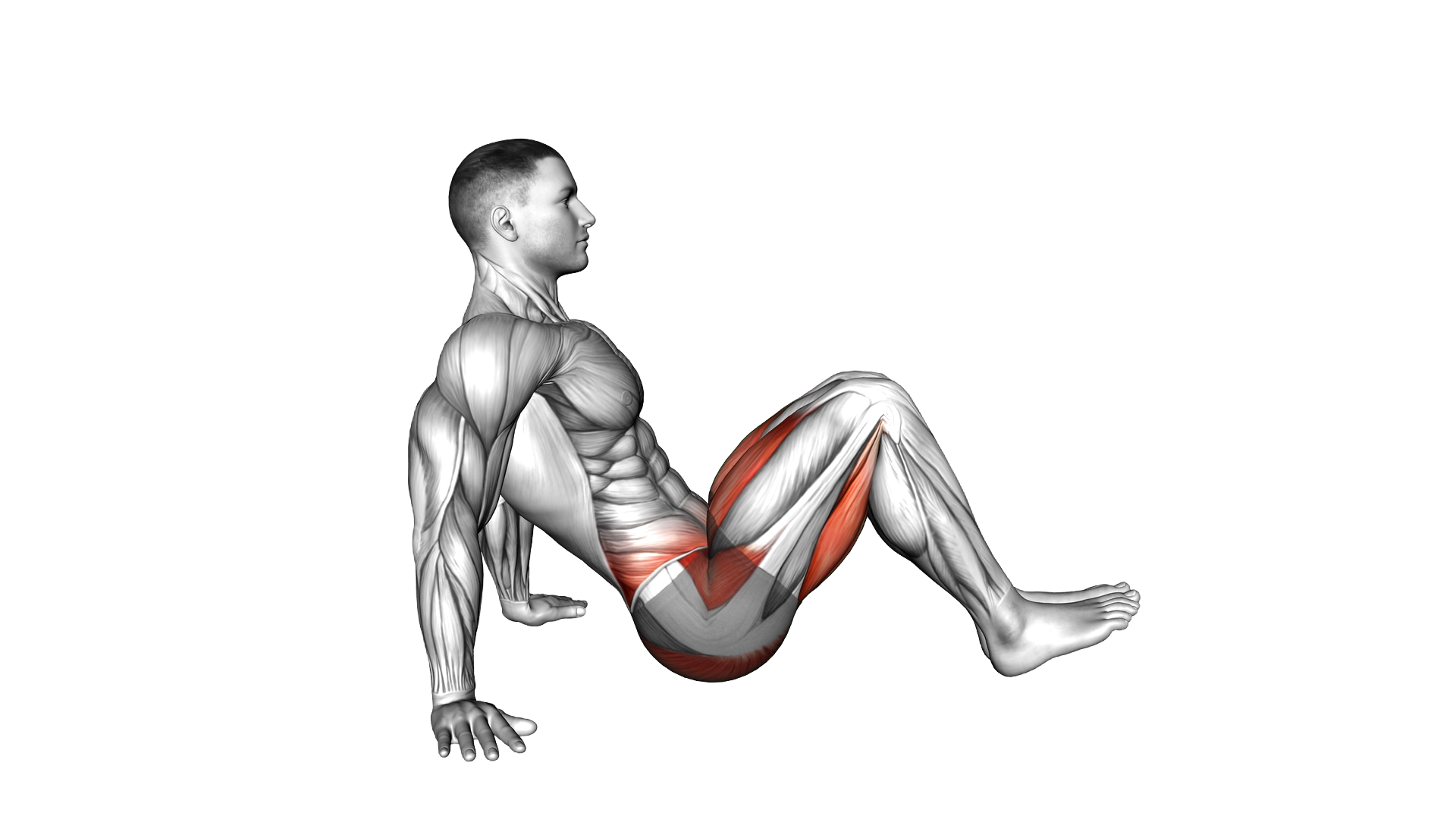 Seated Alternate Knee Tuck exercise demonstration