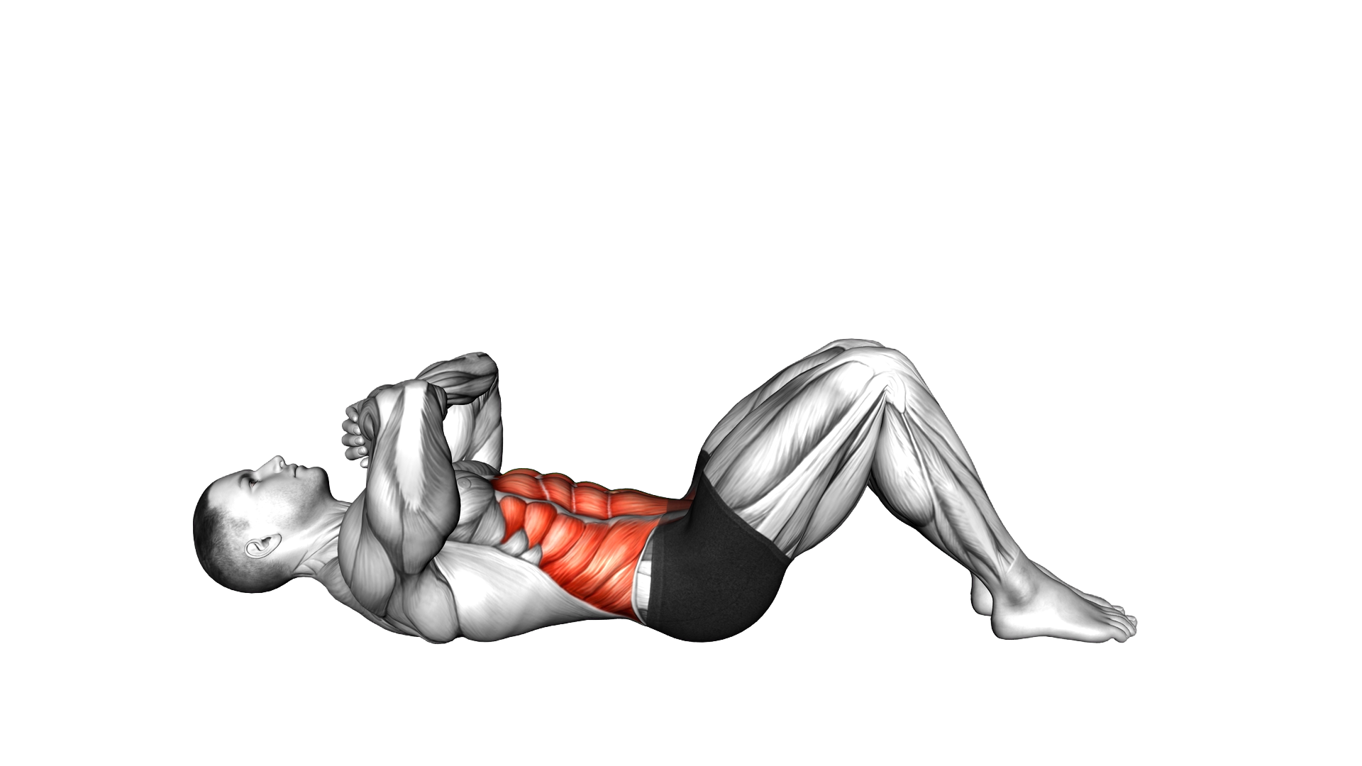 Crossed Body Twist Sit up exercise demonstration